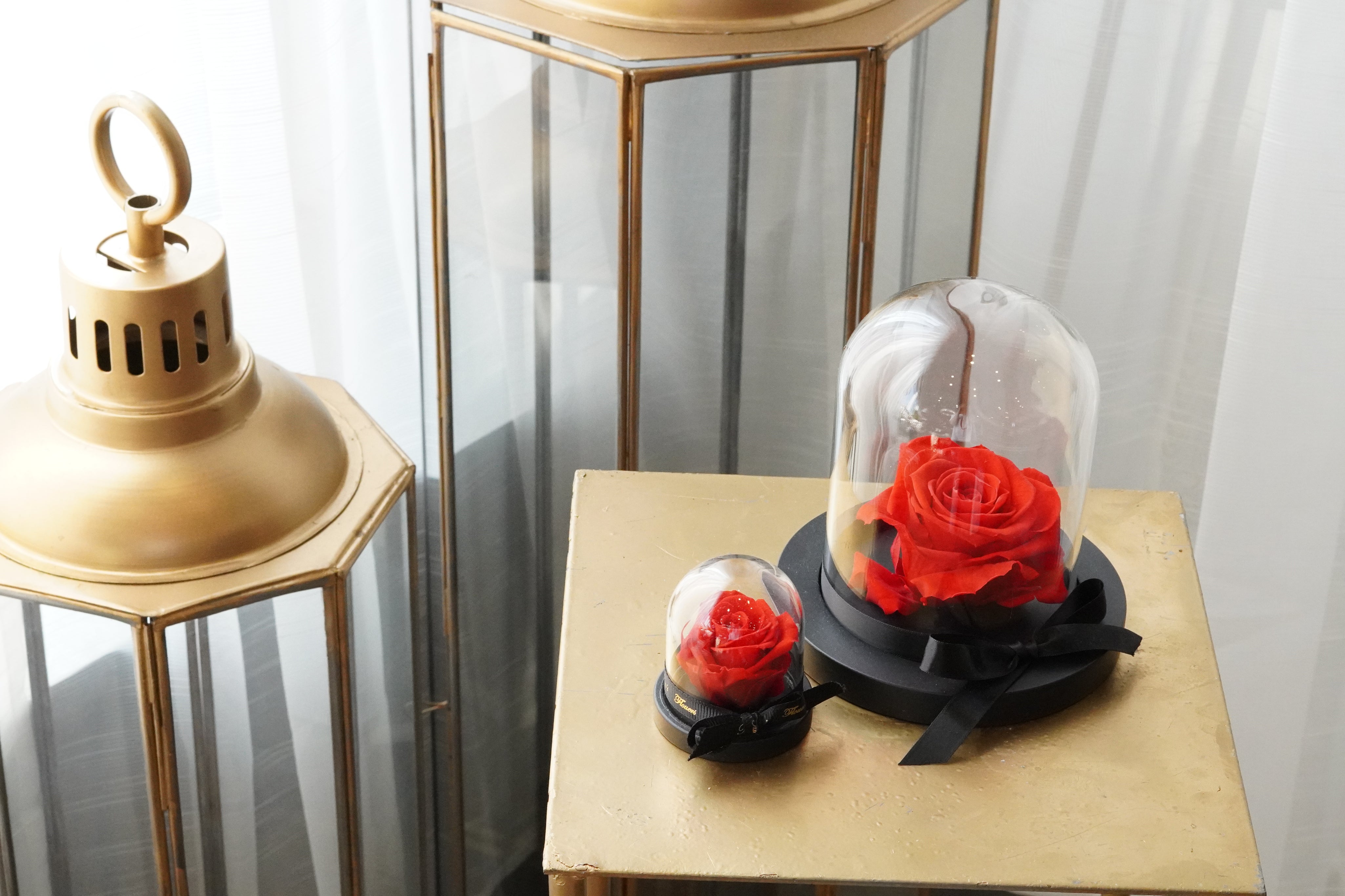 MOTHER'S DAY - preserved flower in a glass dome