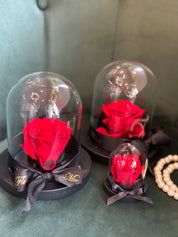 Preserved flower in a glass dome
