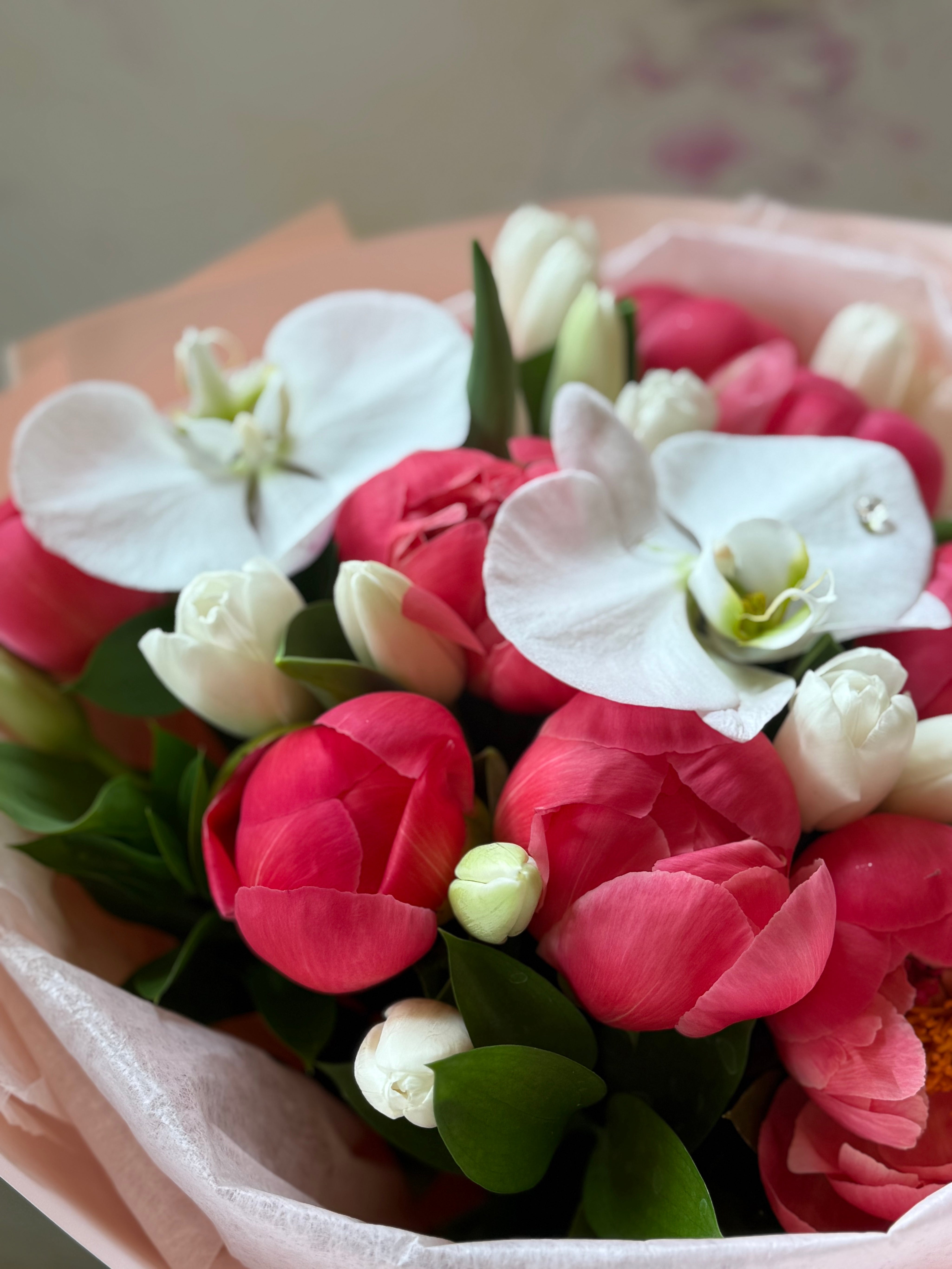 MOTHER'S DAY-Coral Peony