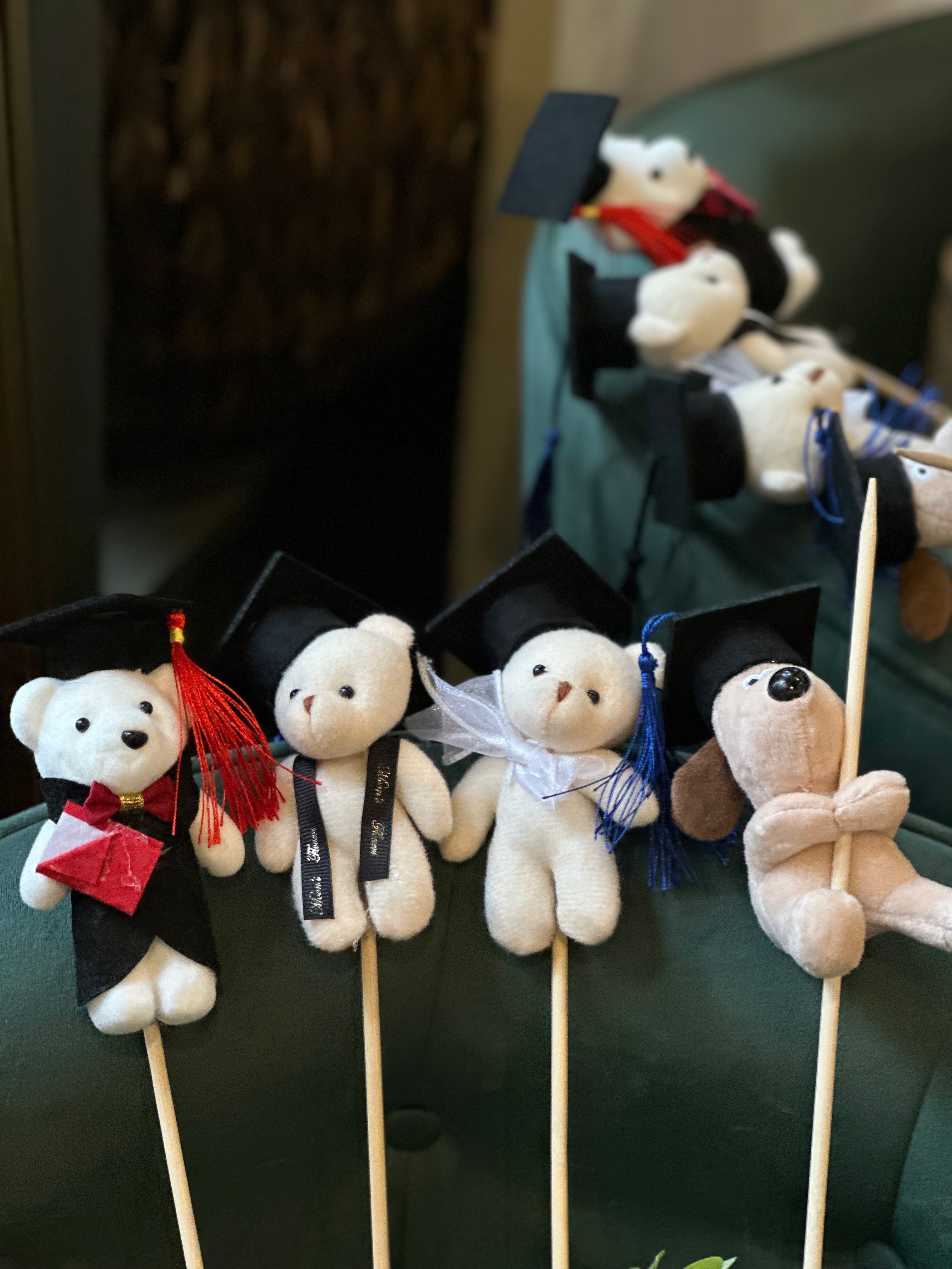 Graduation Bear and Flower