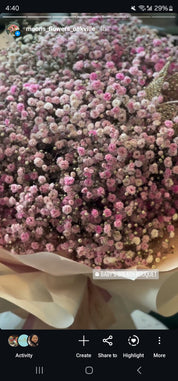 Valentine’s day -Baby's Breath Bouquet
