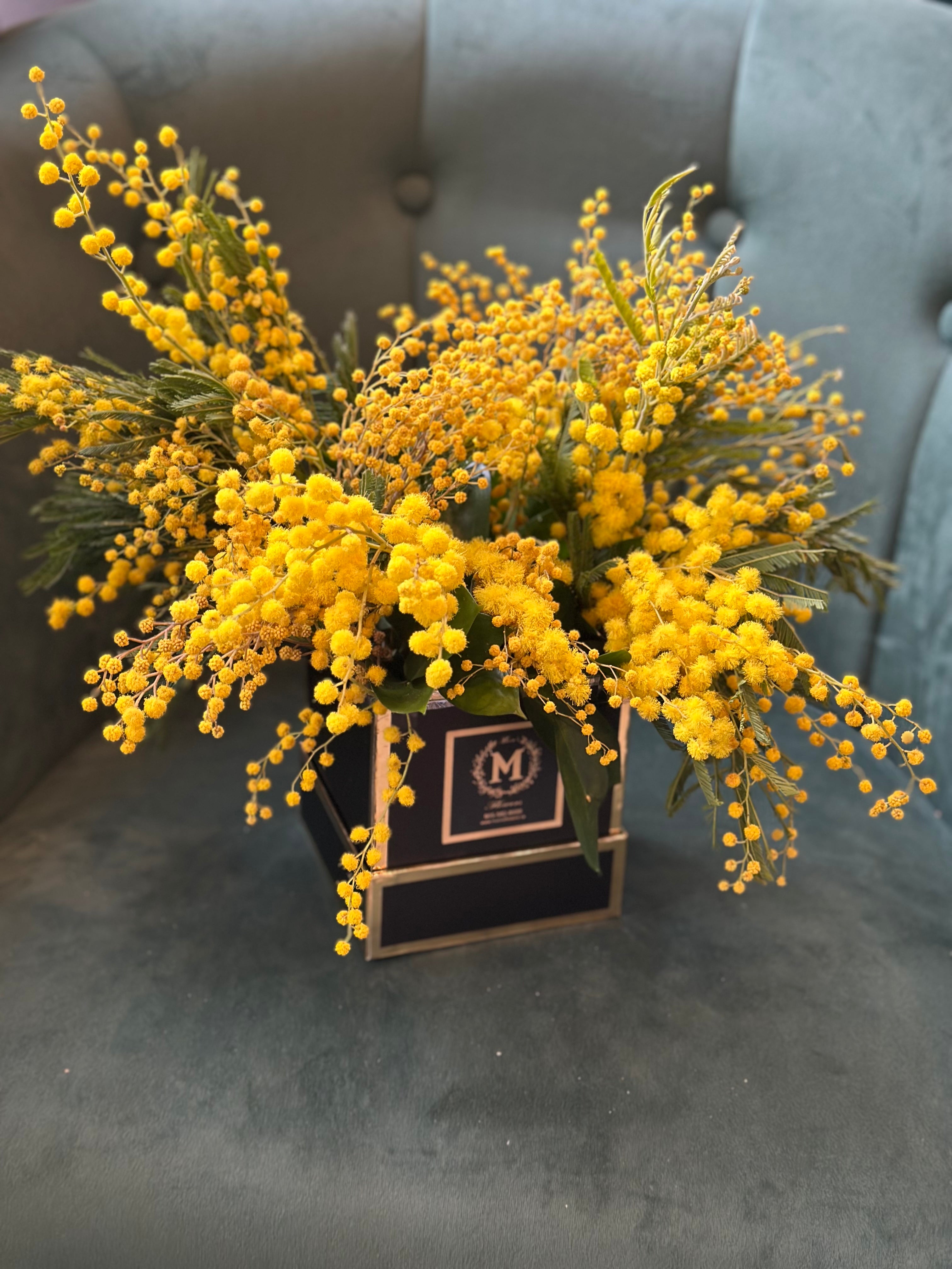 Classic Mimosa Box