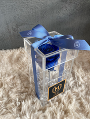 Valentine's Day - Single Preserved Rose Acrylic Box