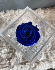 Valentine's Day - Single Preserved Rose Acrylic Box