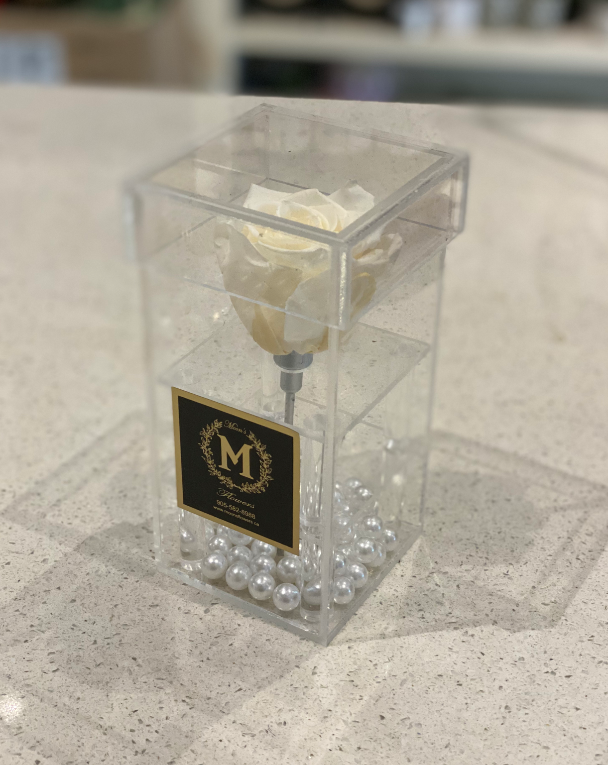 Valentine's Day - Single Preserved Rose Acrylic Box