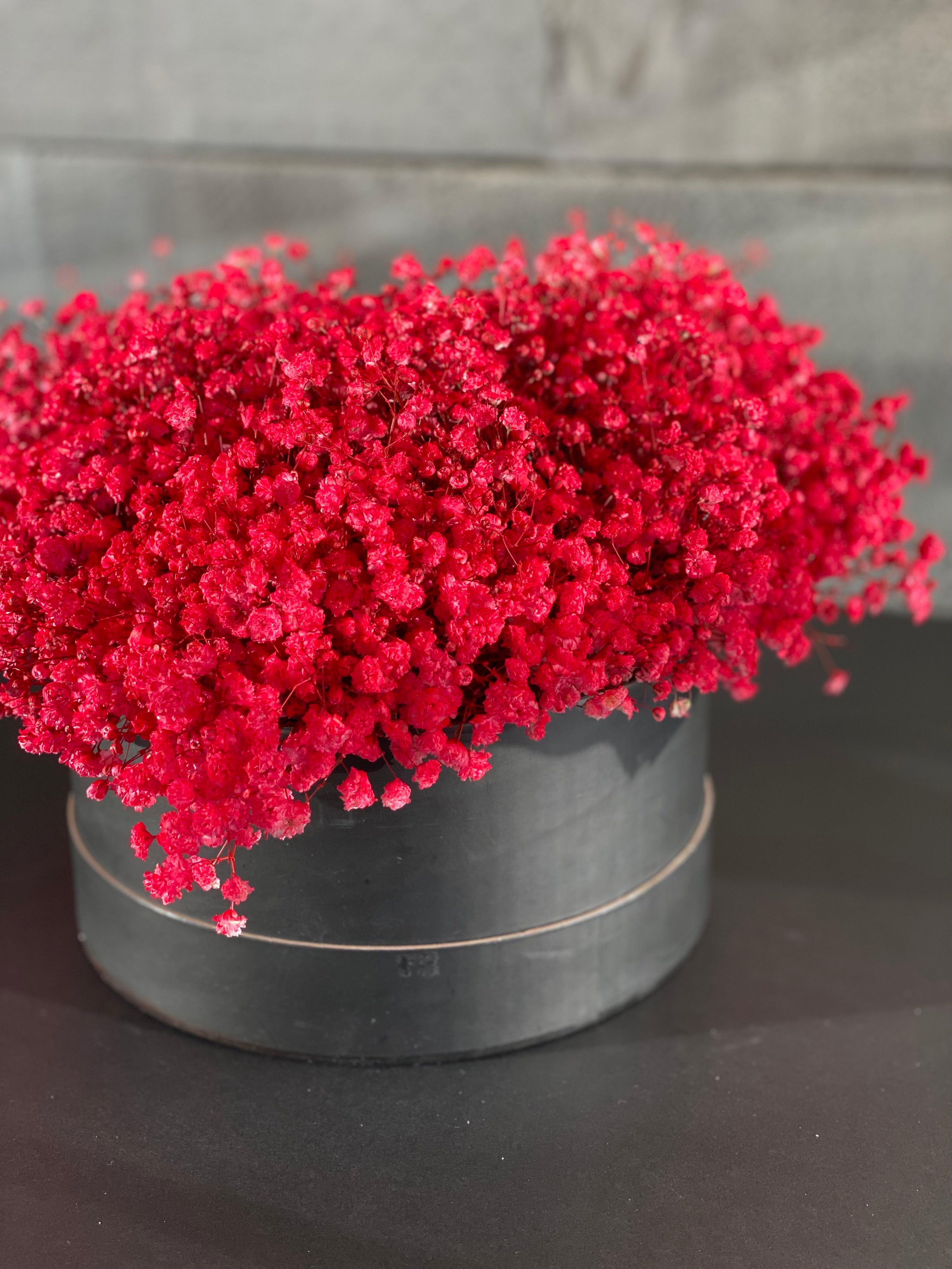 Valentine's Day - Baby’s Breath Heart