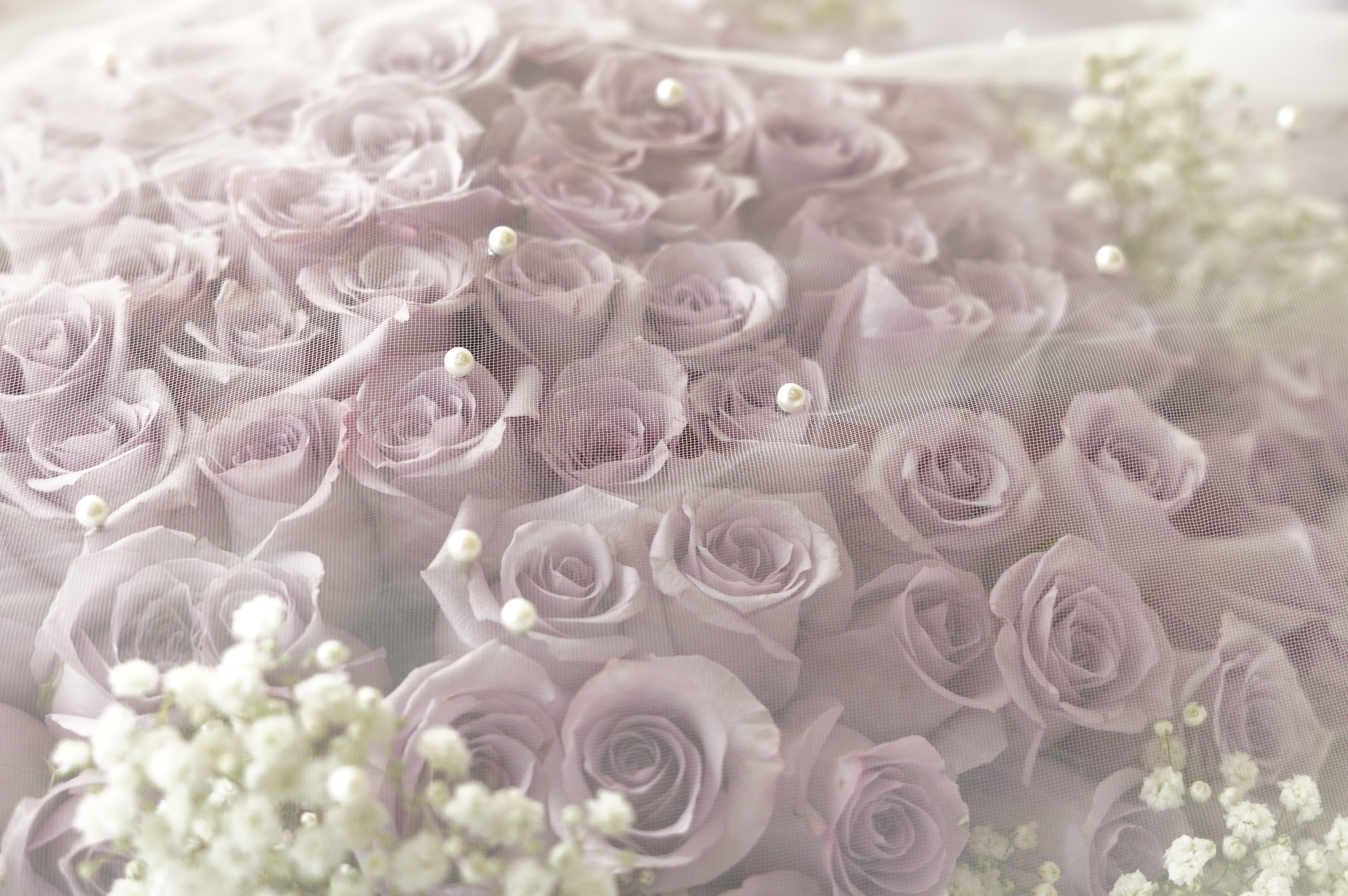 Close-up of lavender roses with pearls and baby's breath — 100 roses bouquet Toronto