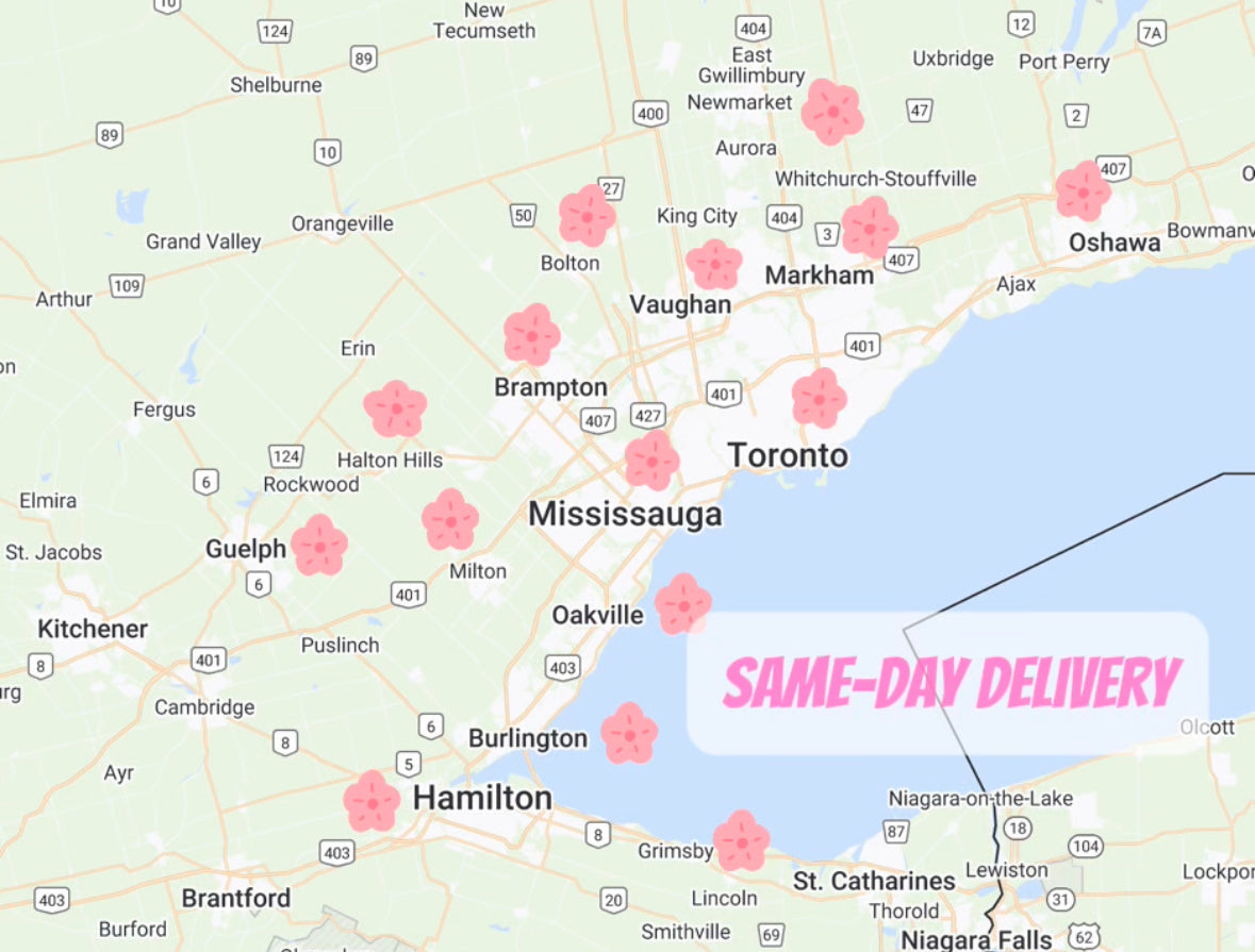 same-day flowers delivery area