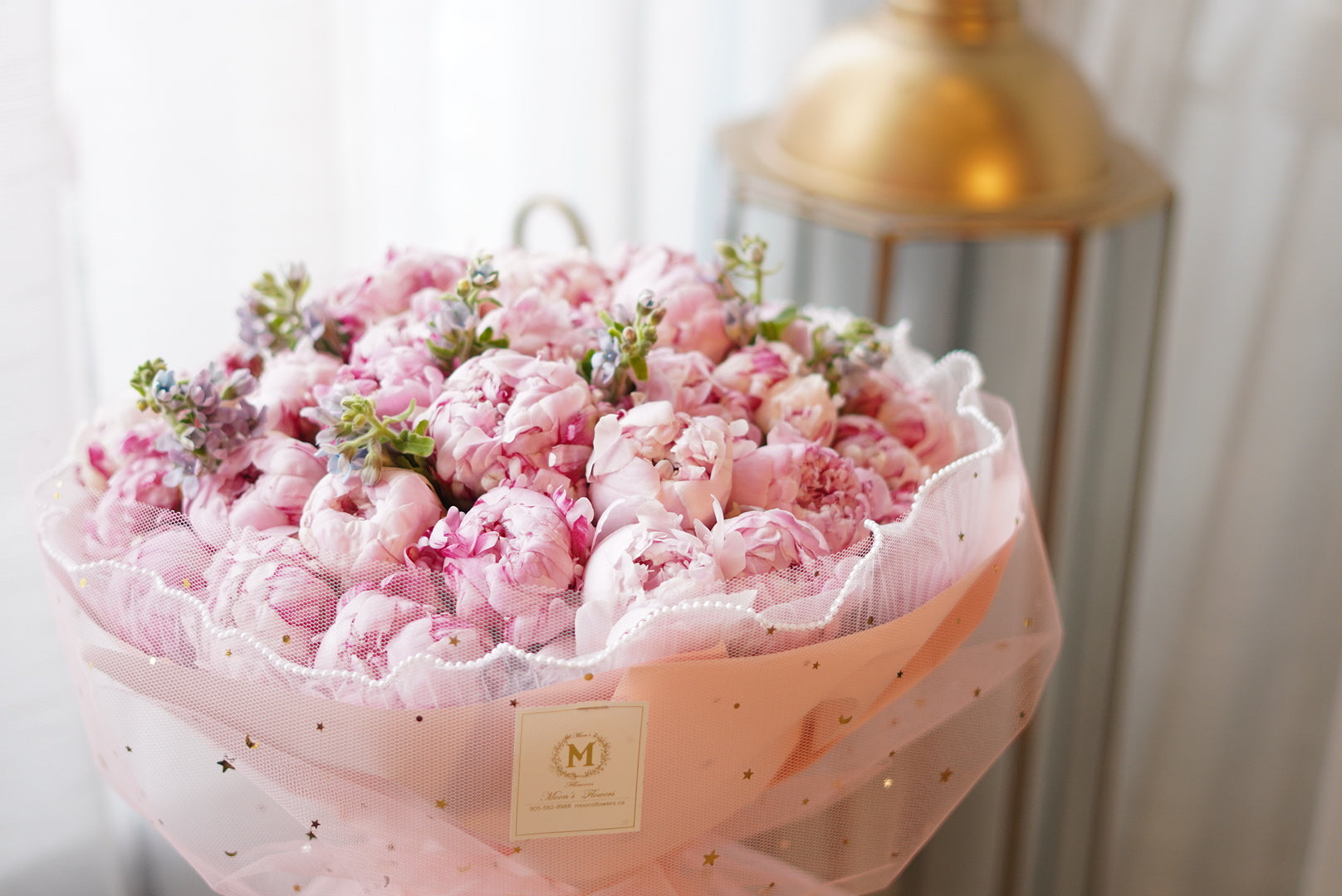 Peony Collection