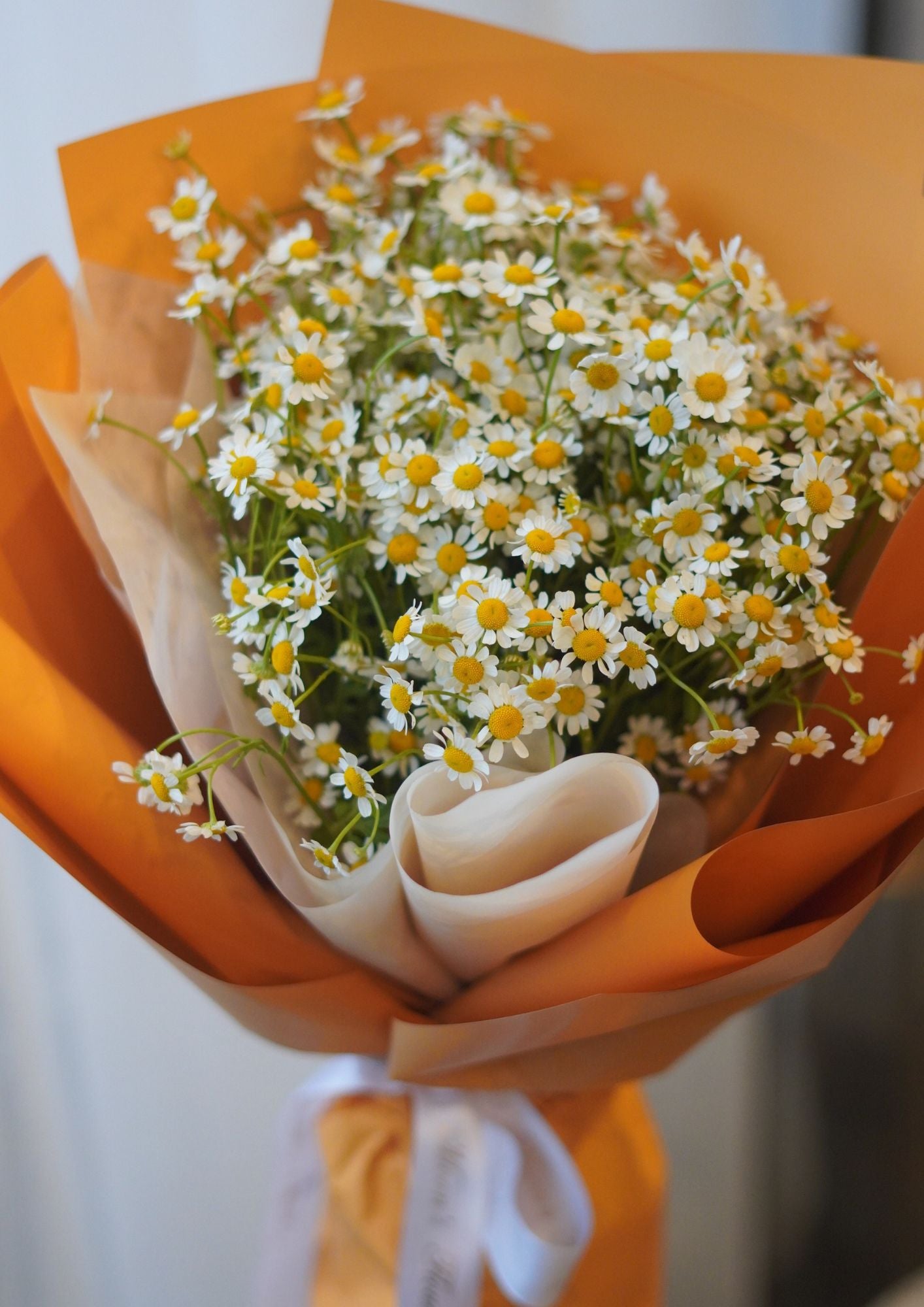 Camomile Bouquet