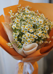 Camomile Bouquet
