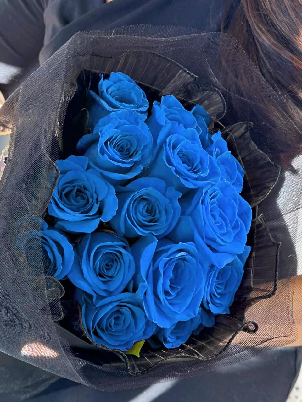 15 Blue Roses