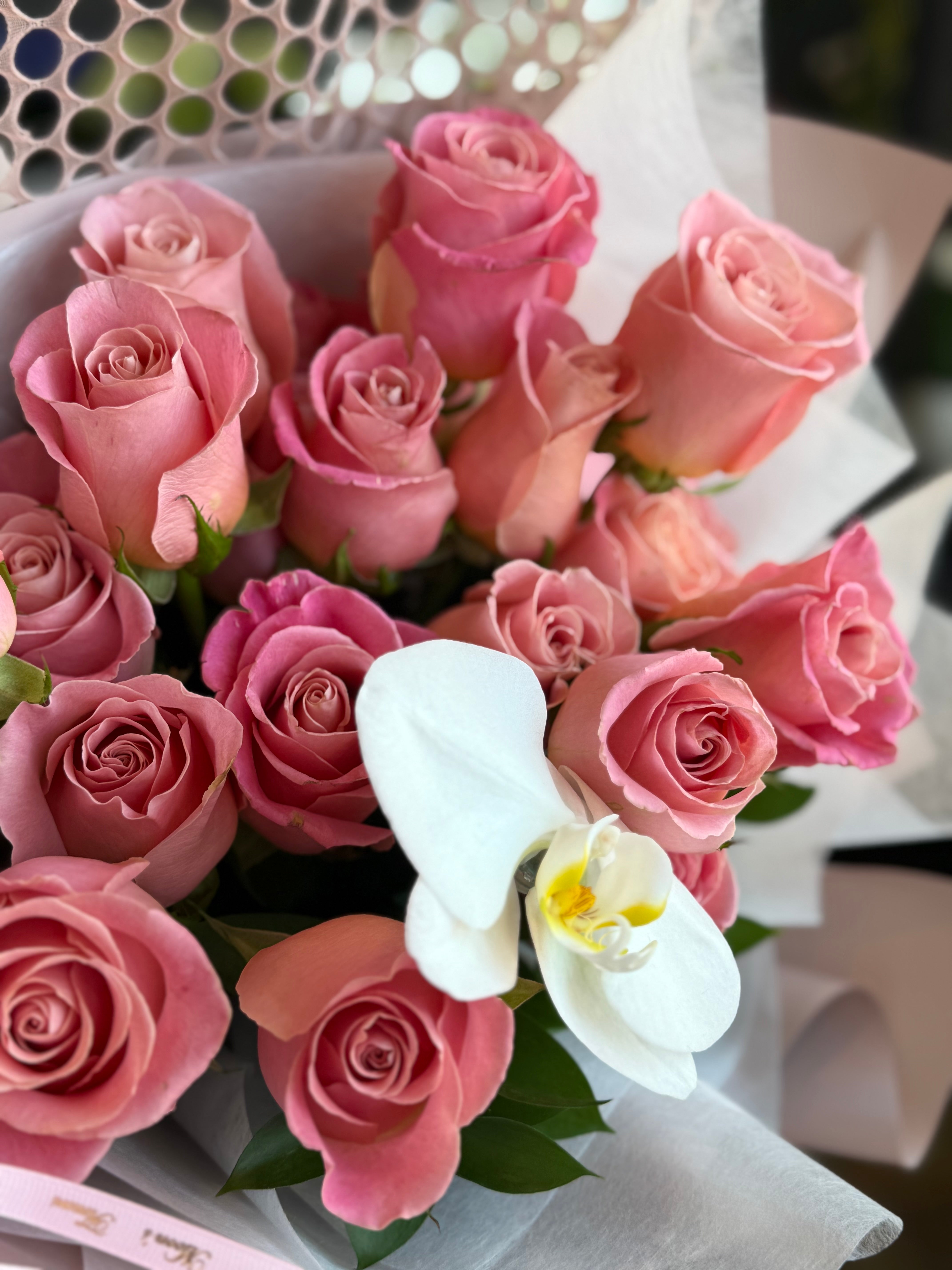 廃盤  Amuseable Popper 新品·タグ付き Amuseable Popper Jellycat | Flower Delivery Toronto | Flower