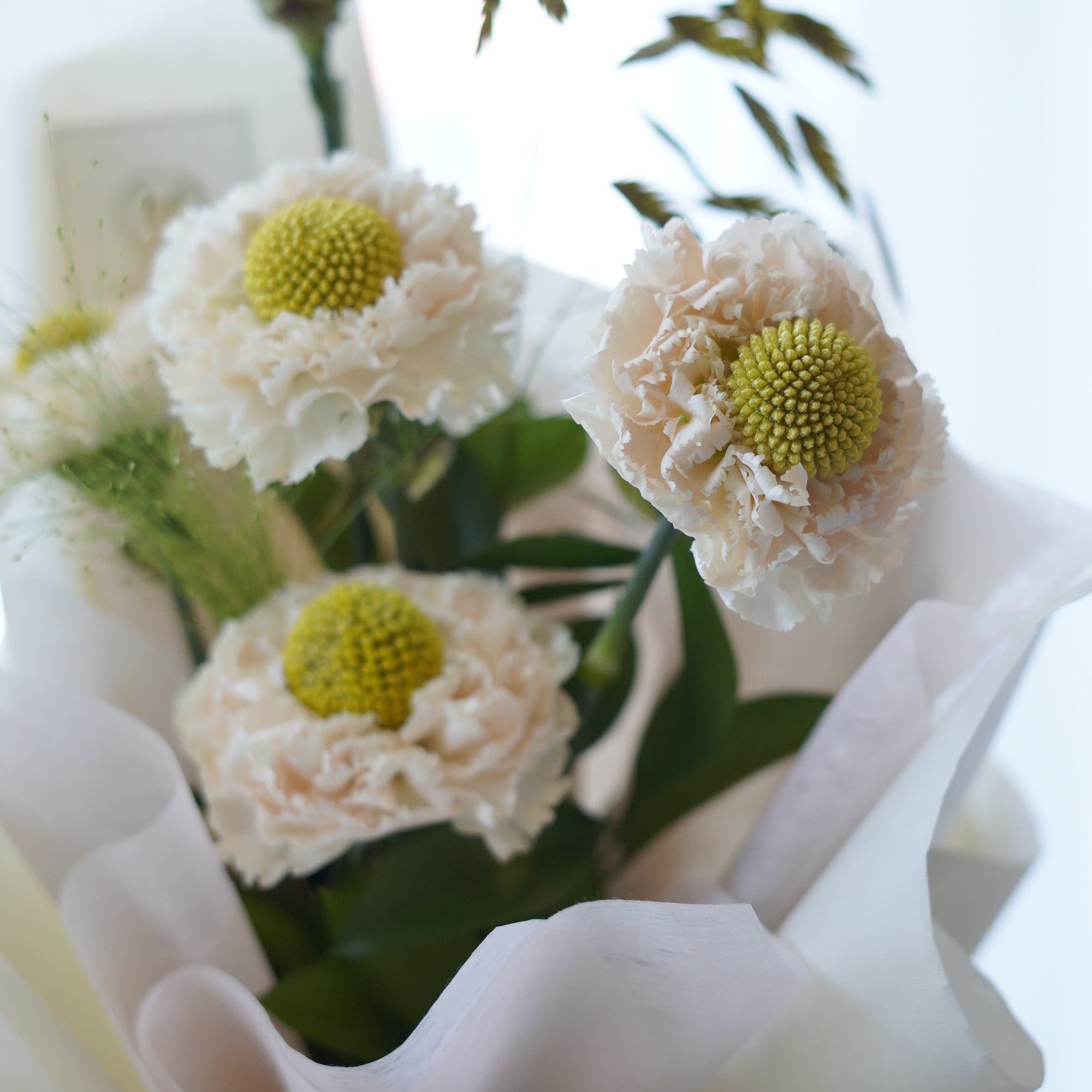 Hand-held blush carnation bouquet with chartreuse centres and pink satin ribbon – same day flower delivery Toronto
