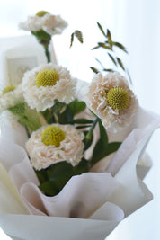 Hand-held blush carnation bouquet with chartreuse centres and pink satin ribbon – same day flower delivery Toronto
