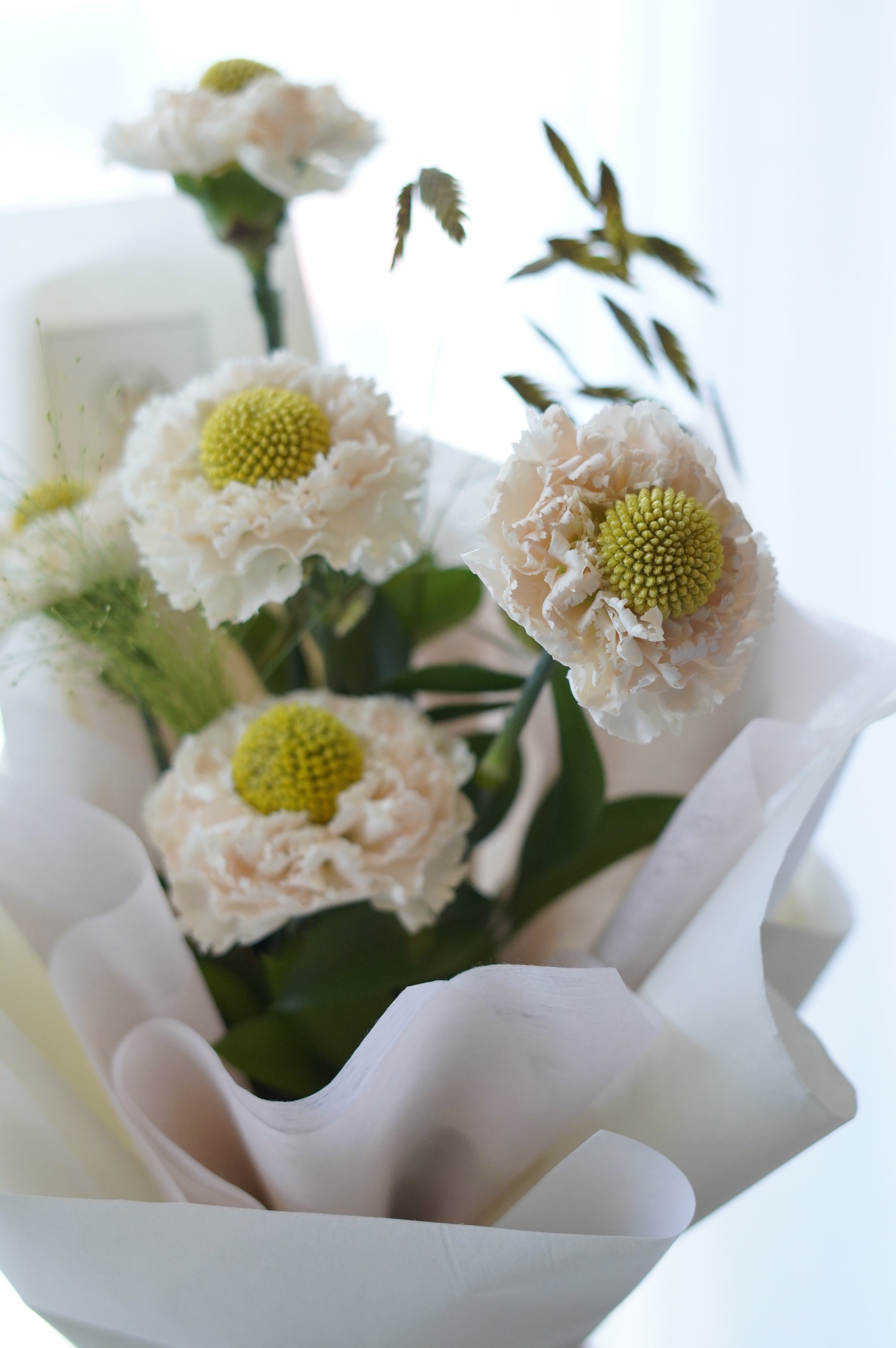Hand-held blush carnation bouquet with chartreuse centres and pink satin ribbon – same day flower delivery Toronto
