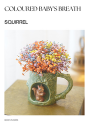 Coloured Babys Breath In A Cup