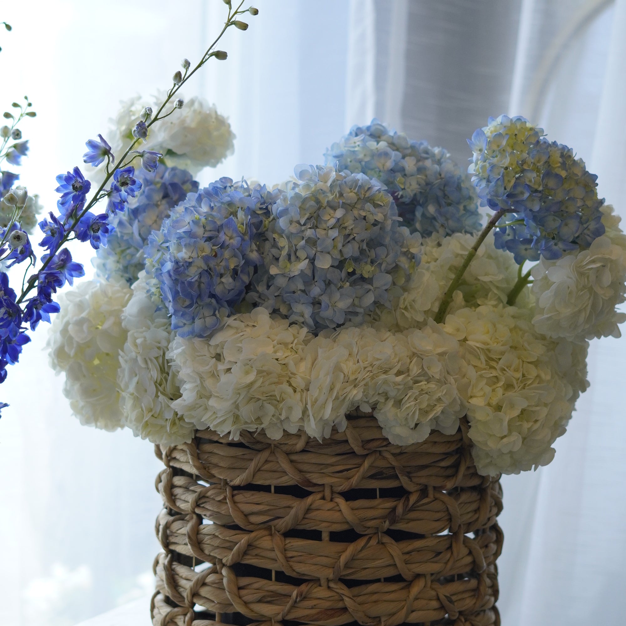 Fresh white and blue hydrangea basket arrangement featuring blue delphinium in a woven container by Moon's Flowers.