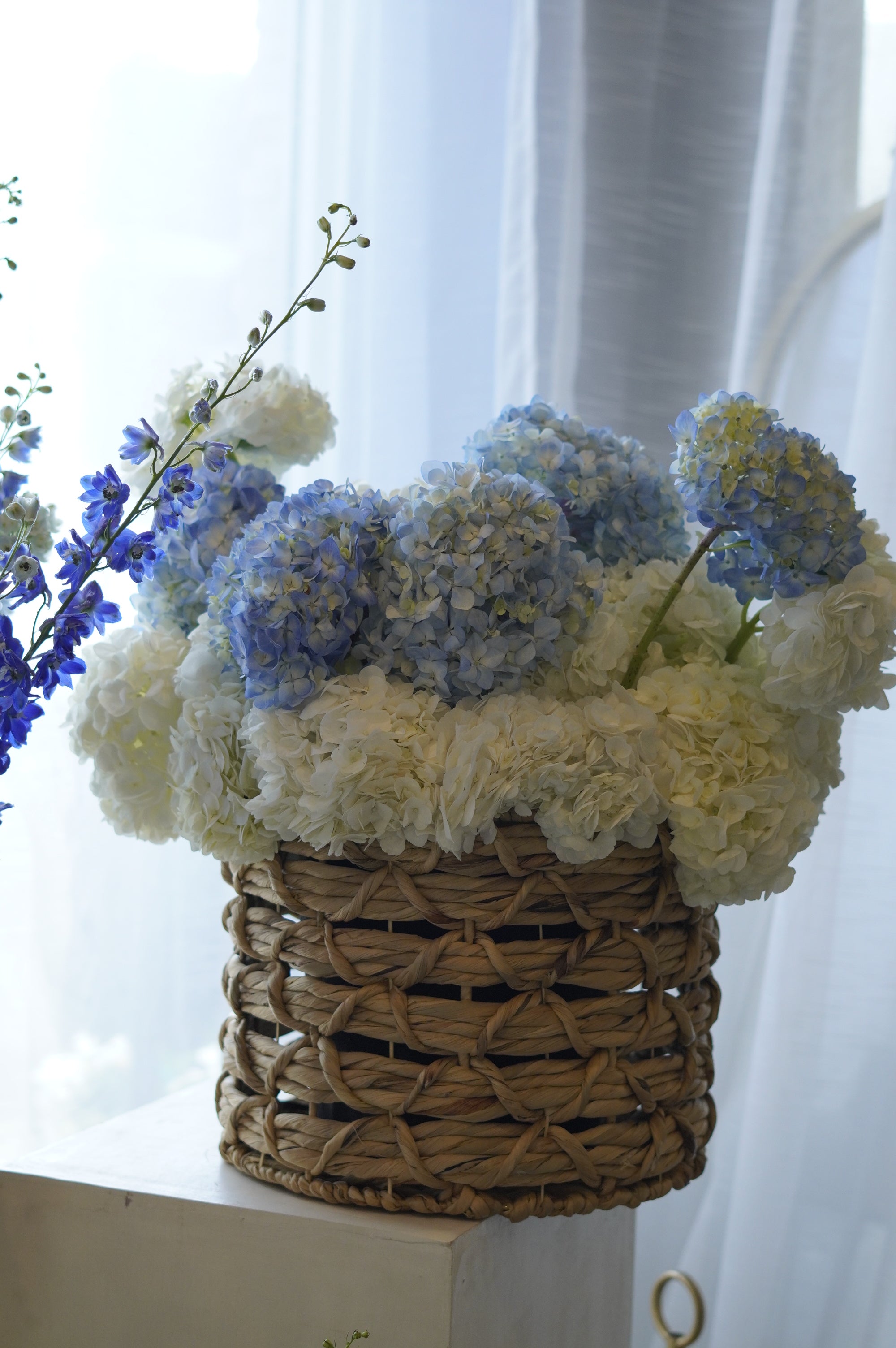 Fresh white and blue hydrangea basket arrangement featuring blue delphinium in a woven container by Moon's Flowers.