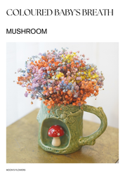 Coloured Babys Breath In A Cup