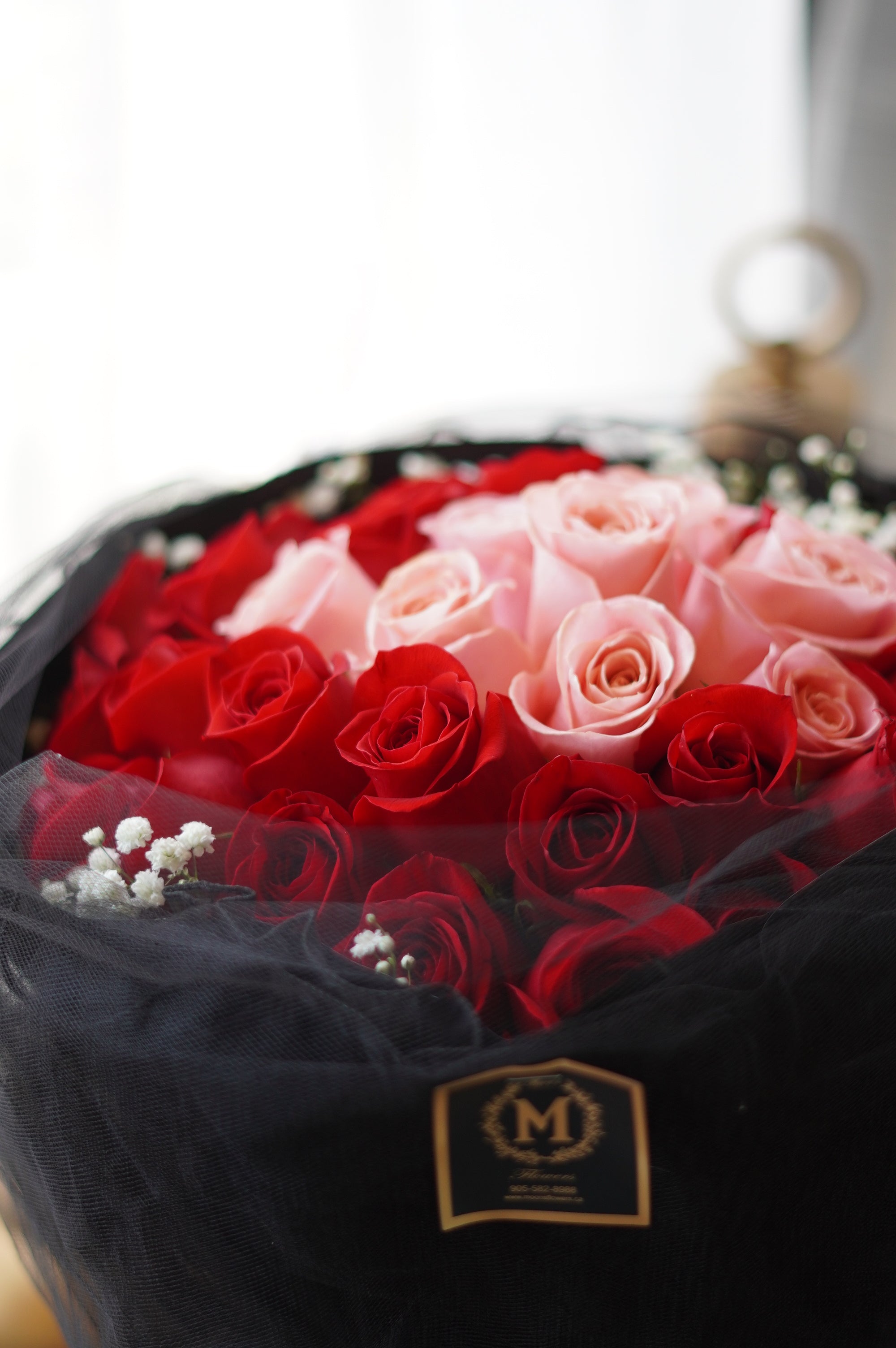 Valentine's Day - 30 Red & Pink Roses with Baby Breath