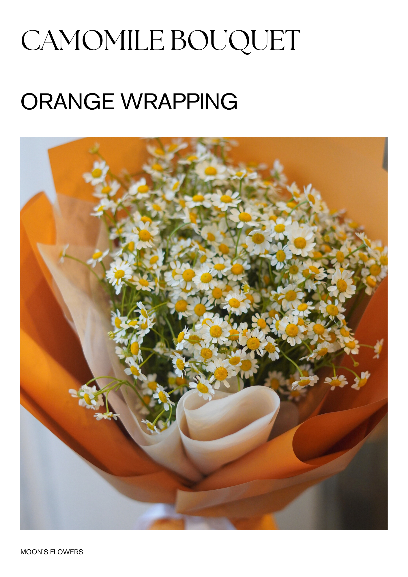 Camomile Bouquet