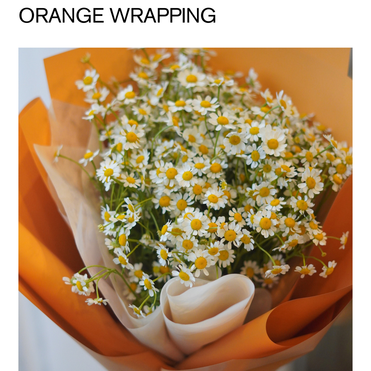 3_75dd0c5f-f86c-4149-8d3b-205b66d6aaf5.png