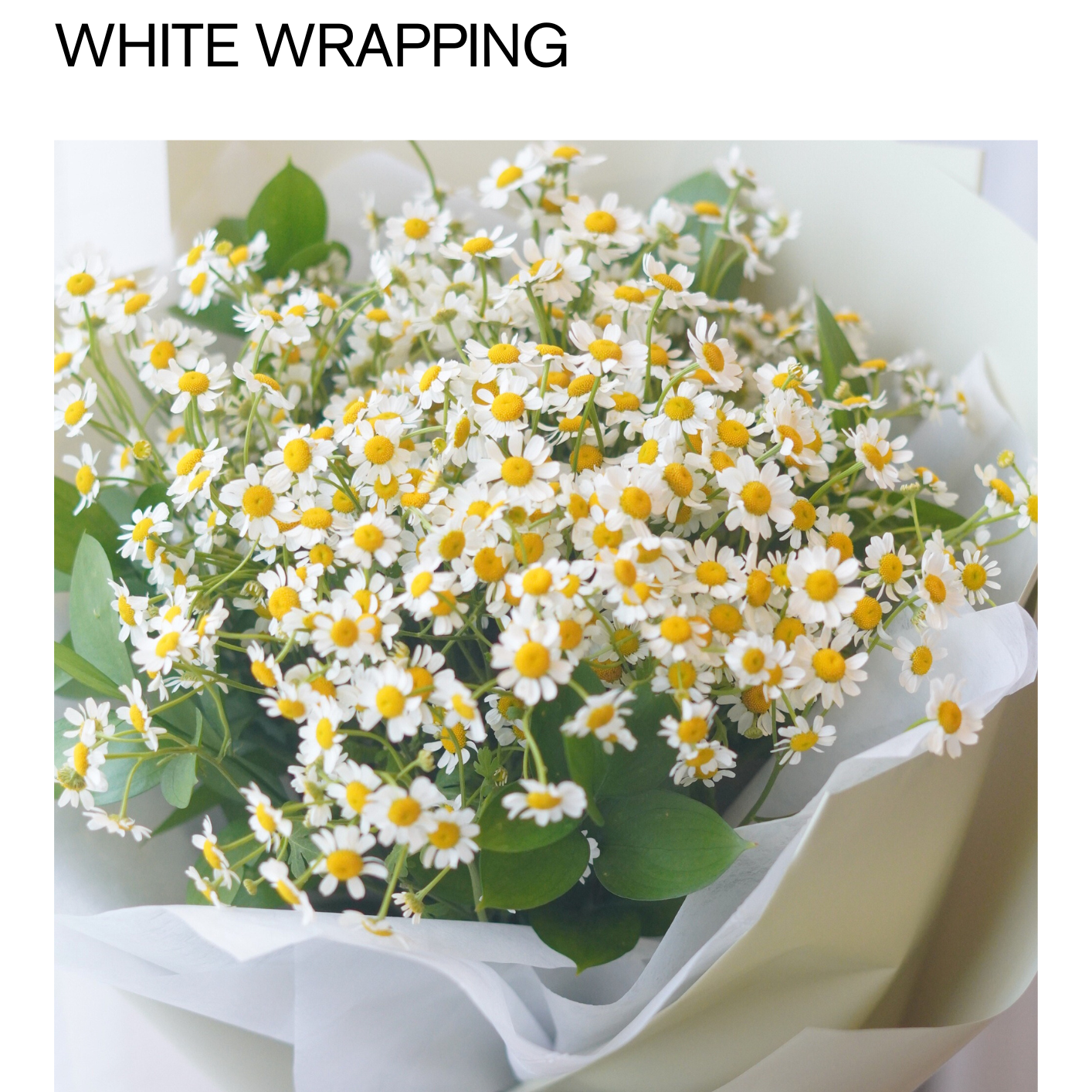 4_53fb6187-bfd3-427c-9a24-5f445454e6c2.png