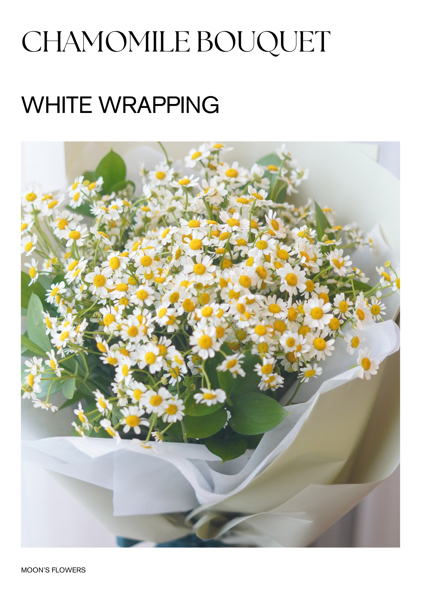 Chamomile Bouquet
