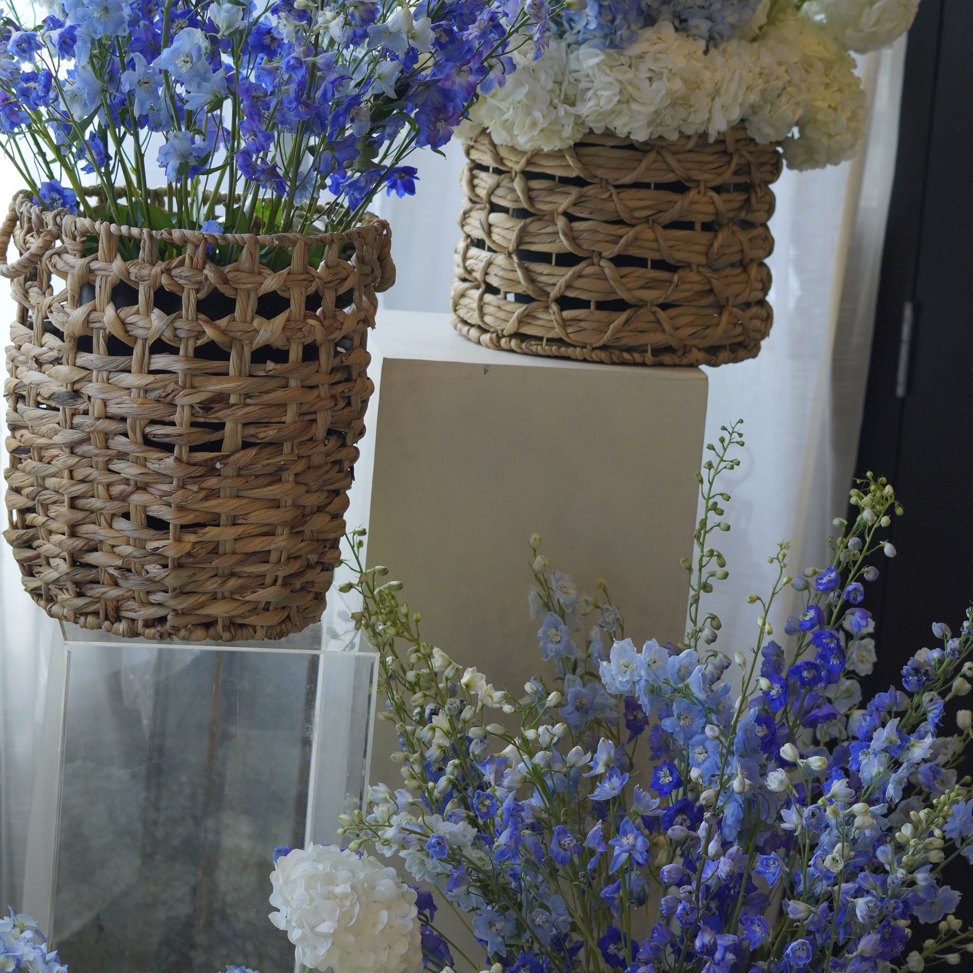 Fresh blue delphinium basket arrangement featuring cobalt and soft blue blooms in a natural woven vessel by Moon's Flowers.