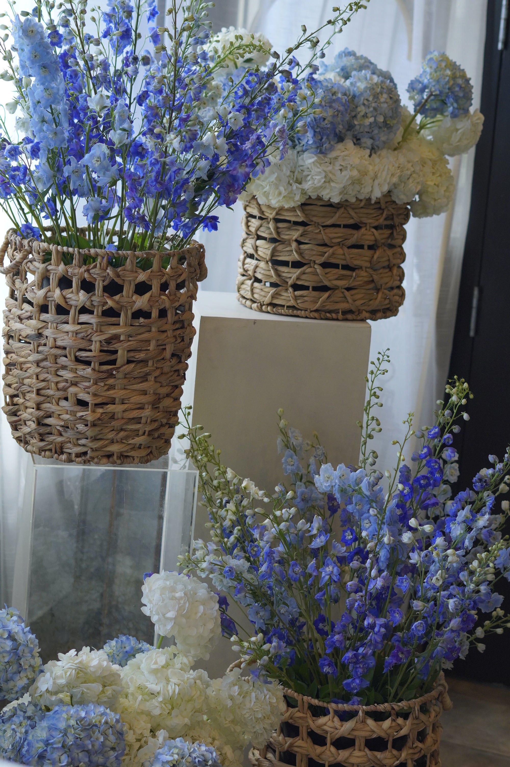 Fresh blue delphinium basket arrangement featuring cobalt and soft blue blooms in a natural woven vessel by Moon's Flowers.