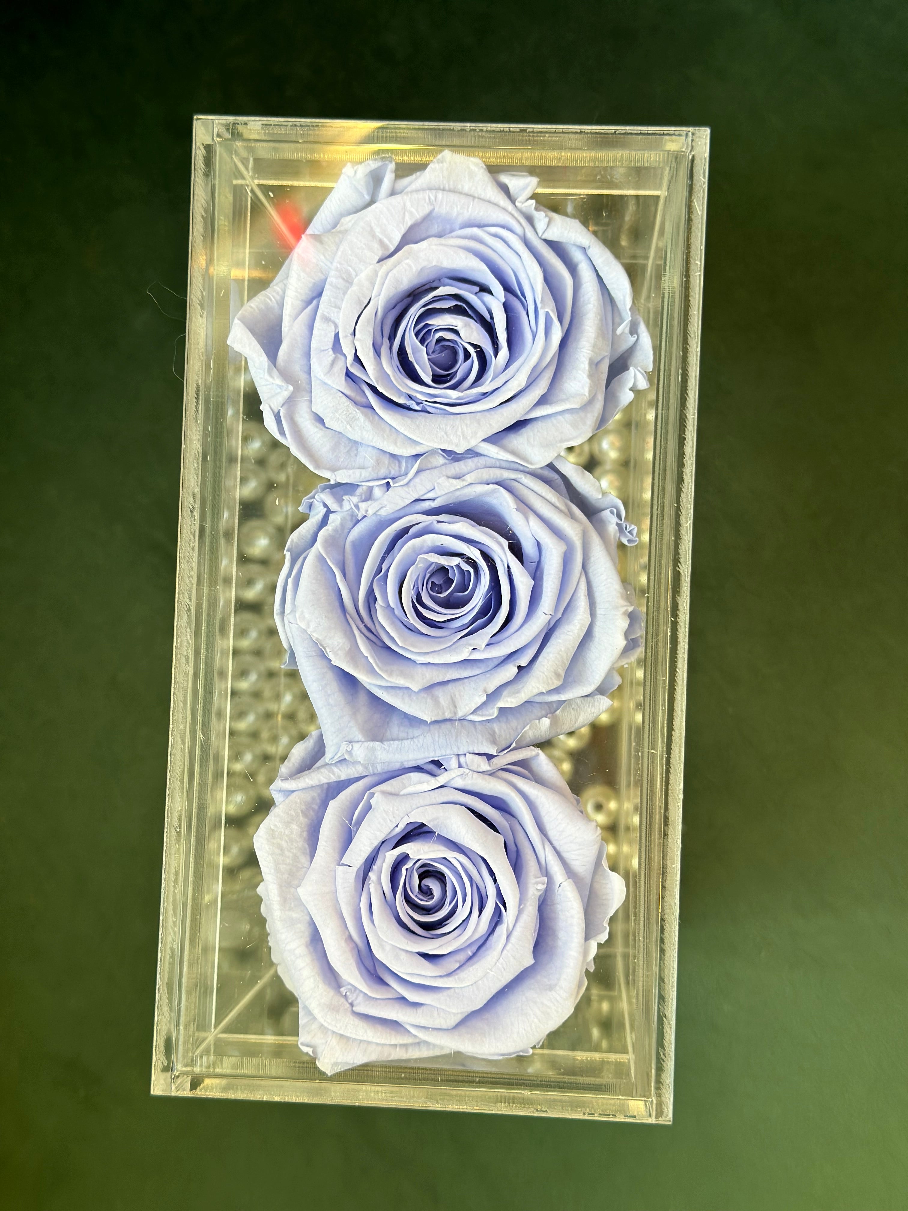 Preserved Rose in a Acrylic Box-3