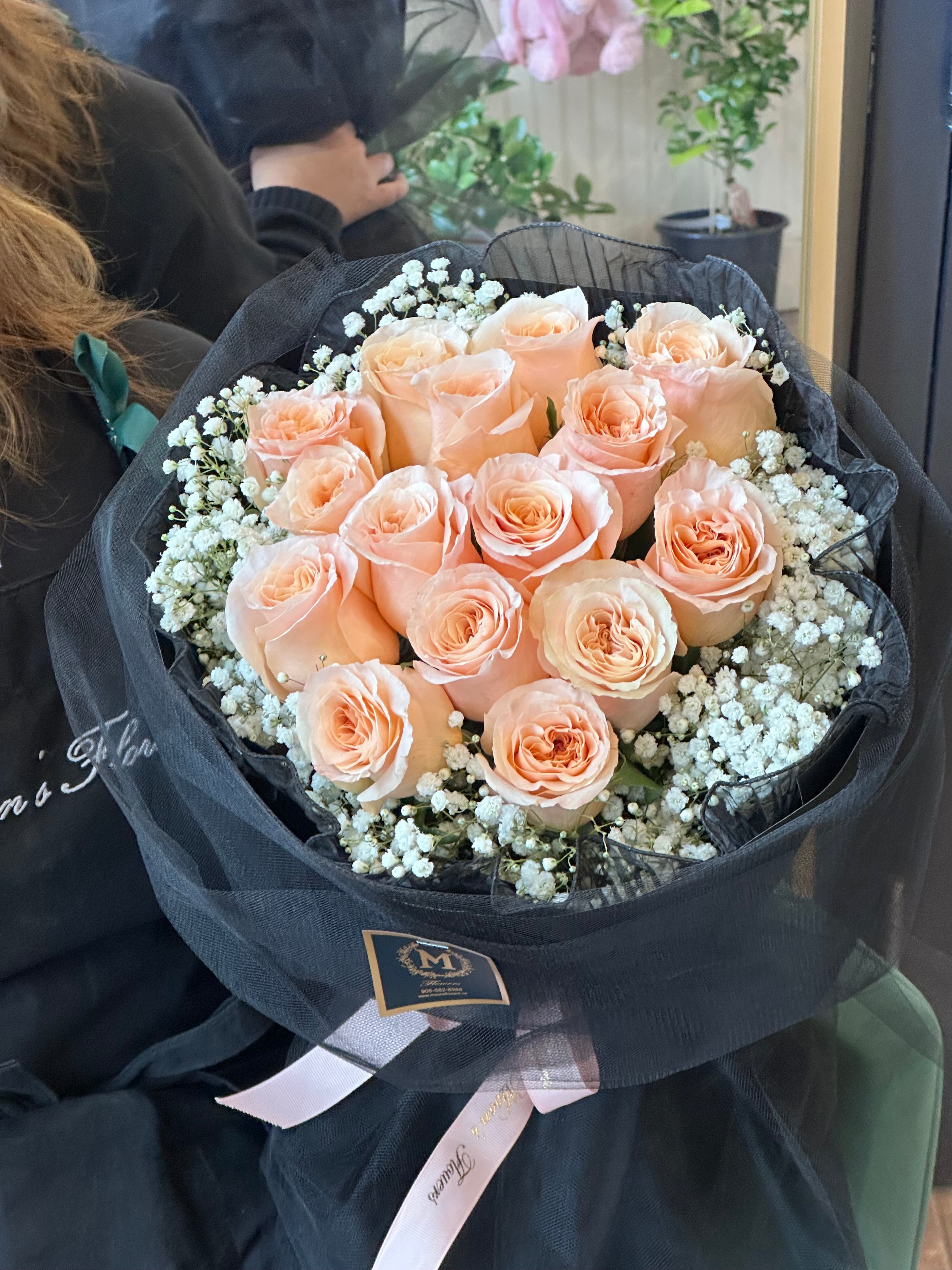 15 Peach Roses