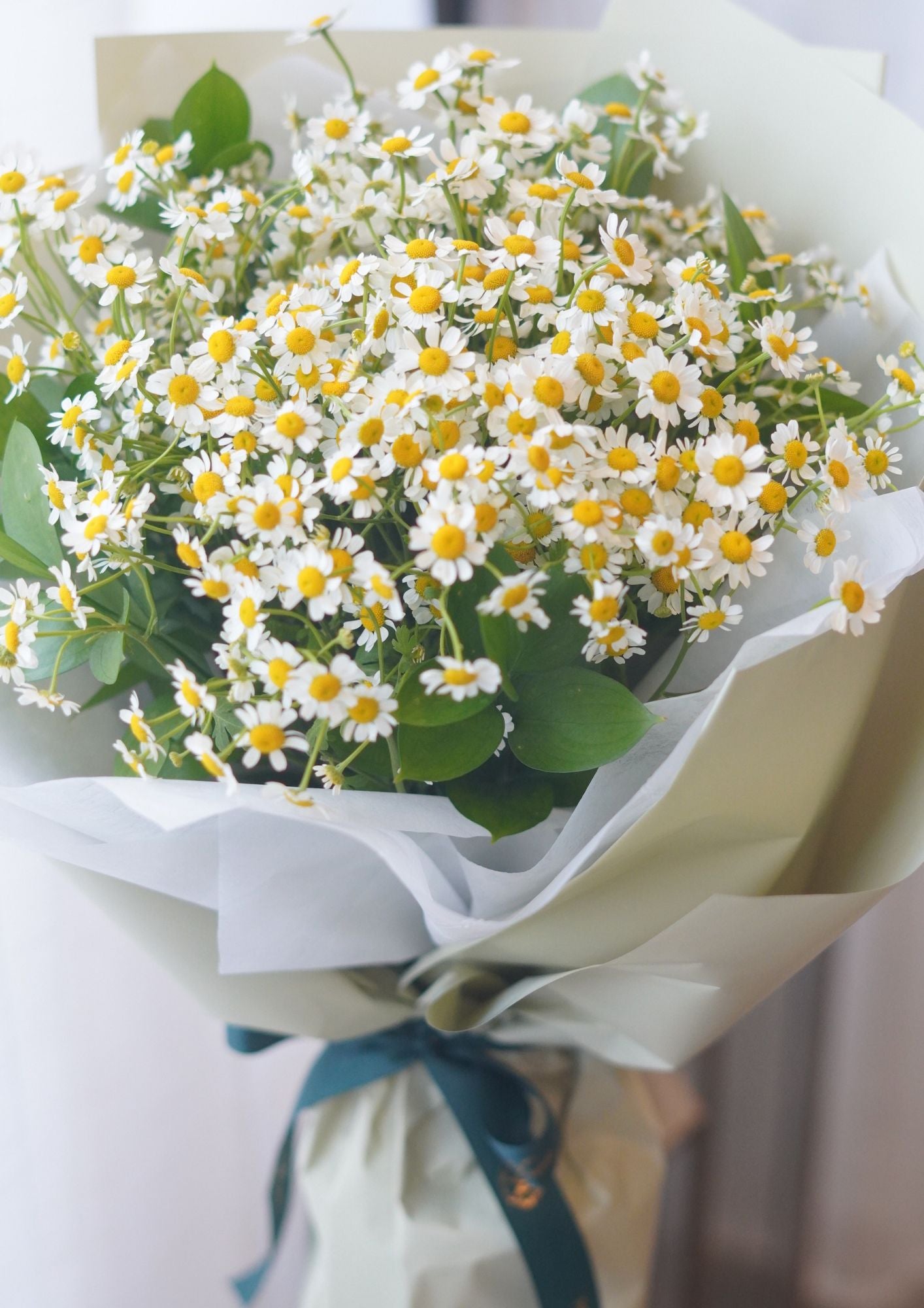 Camomile Bouquet