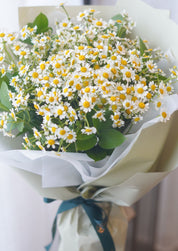 Camomile Bouquet