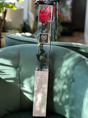 Single Long Stem Rose Preserved