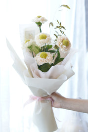 Ivory Dream Carnation Bouquet – blush white carnations with green button centres, wrapped in matte white paper, Toronto florist
