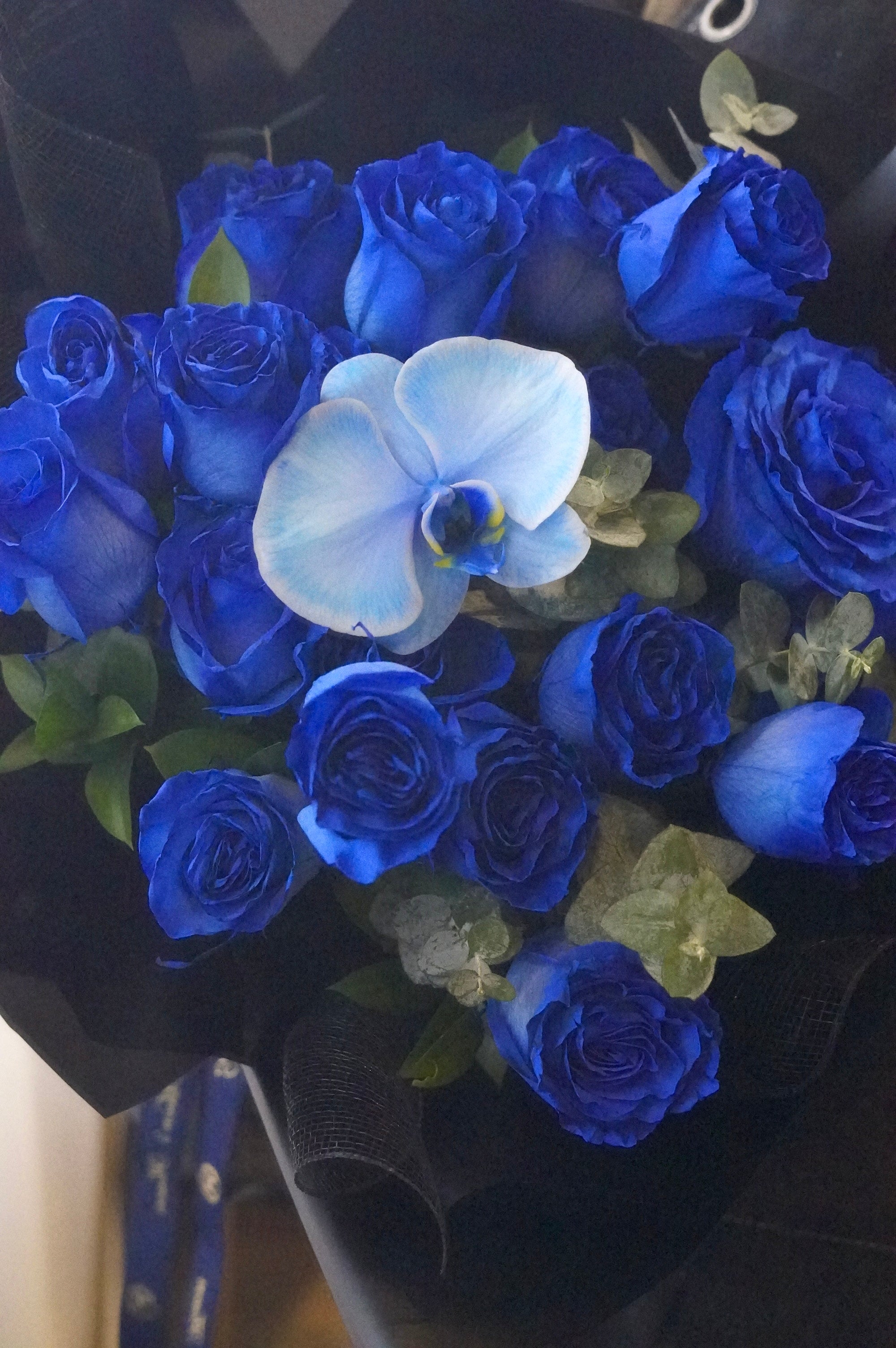Close up 2 dozen blue roses with blue orchid