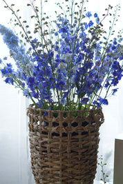Tall arrangement of rich blue and light powder blue delphiniums in a handwoven rattan basket container.
