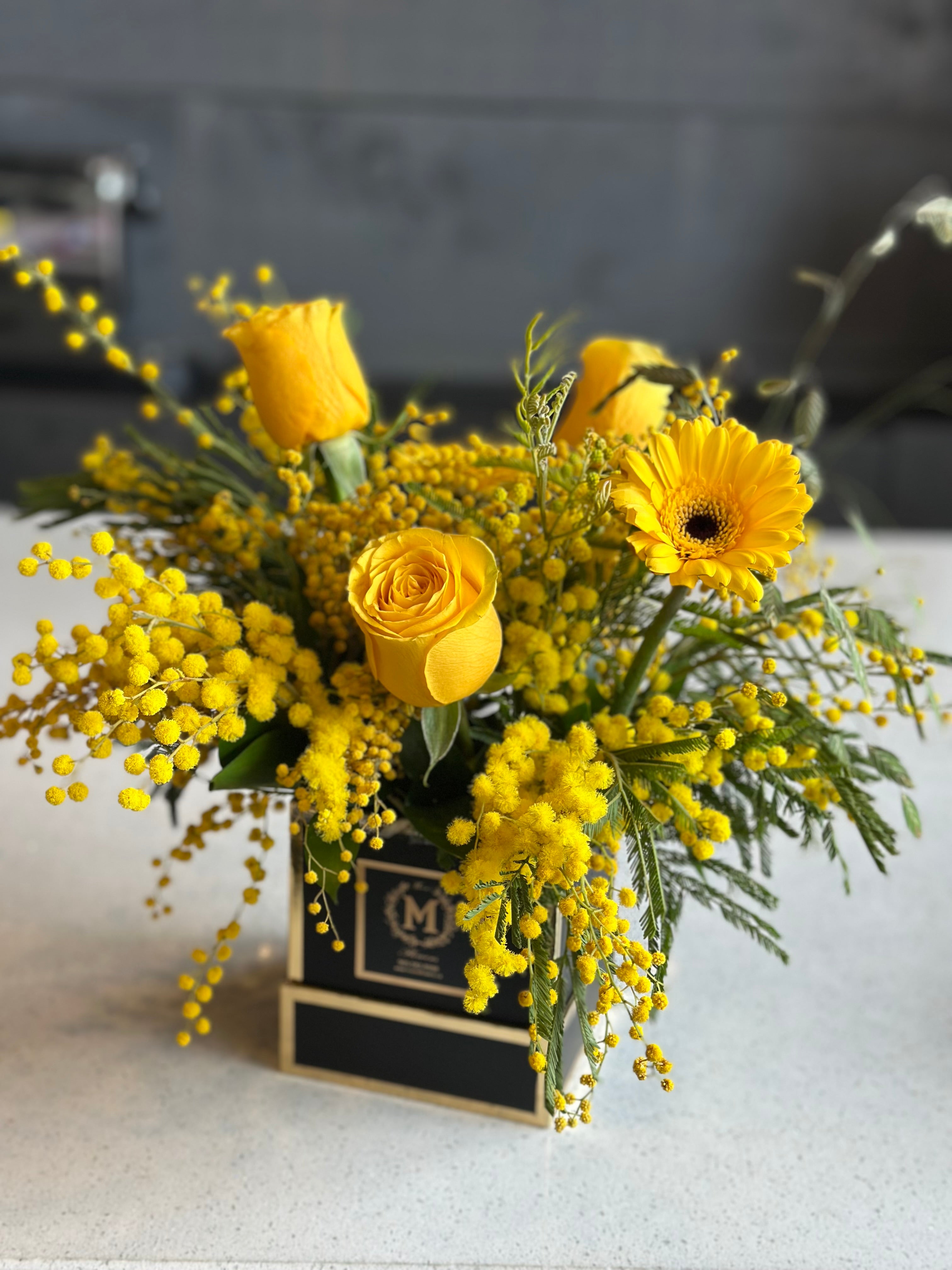 스트렝스 앤 그레이스 미모사 박스