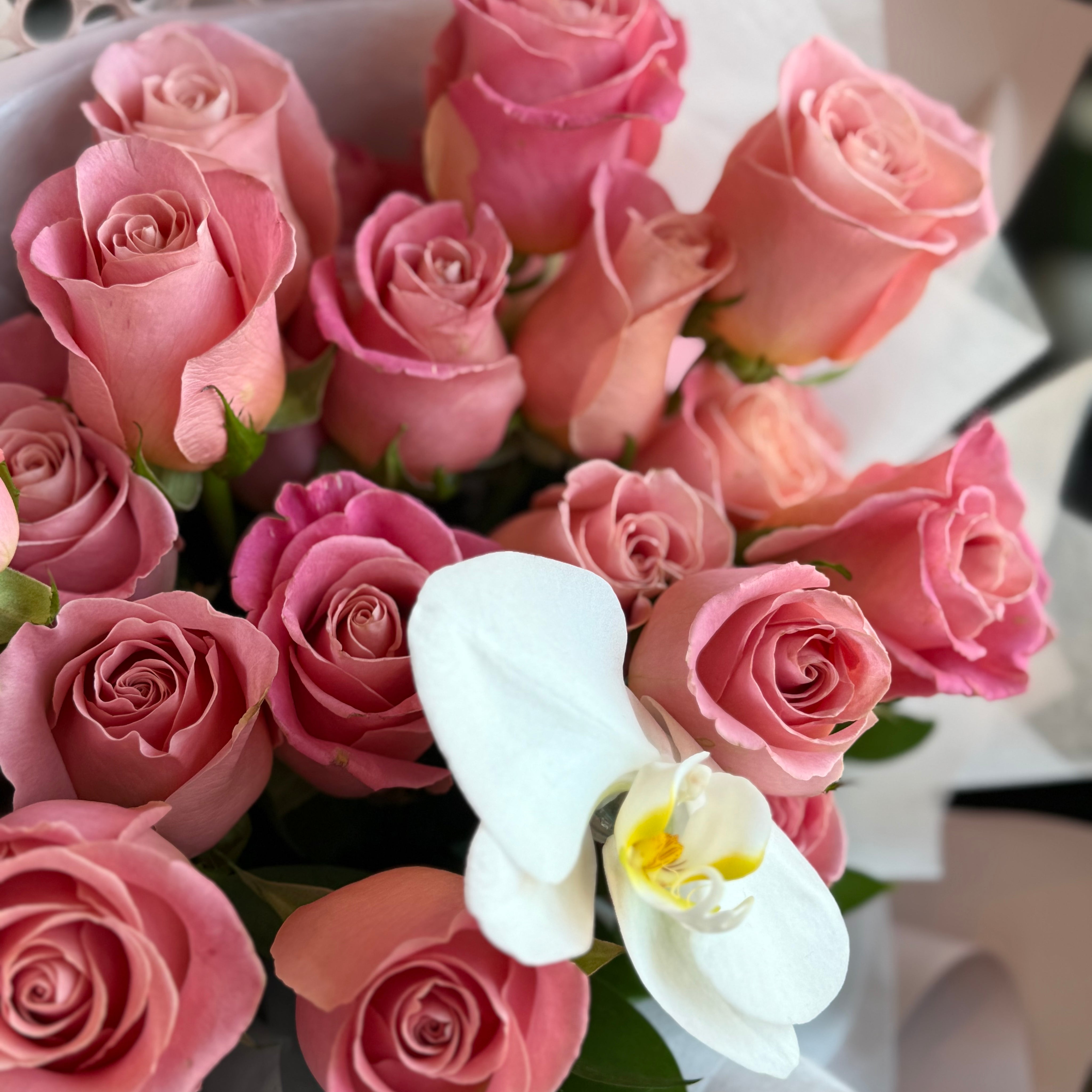 Blush pink rose bouquet with white orchid and fresh greenery in elegant wrapping