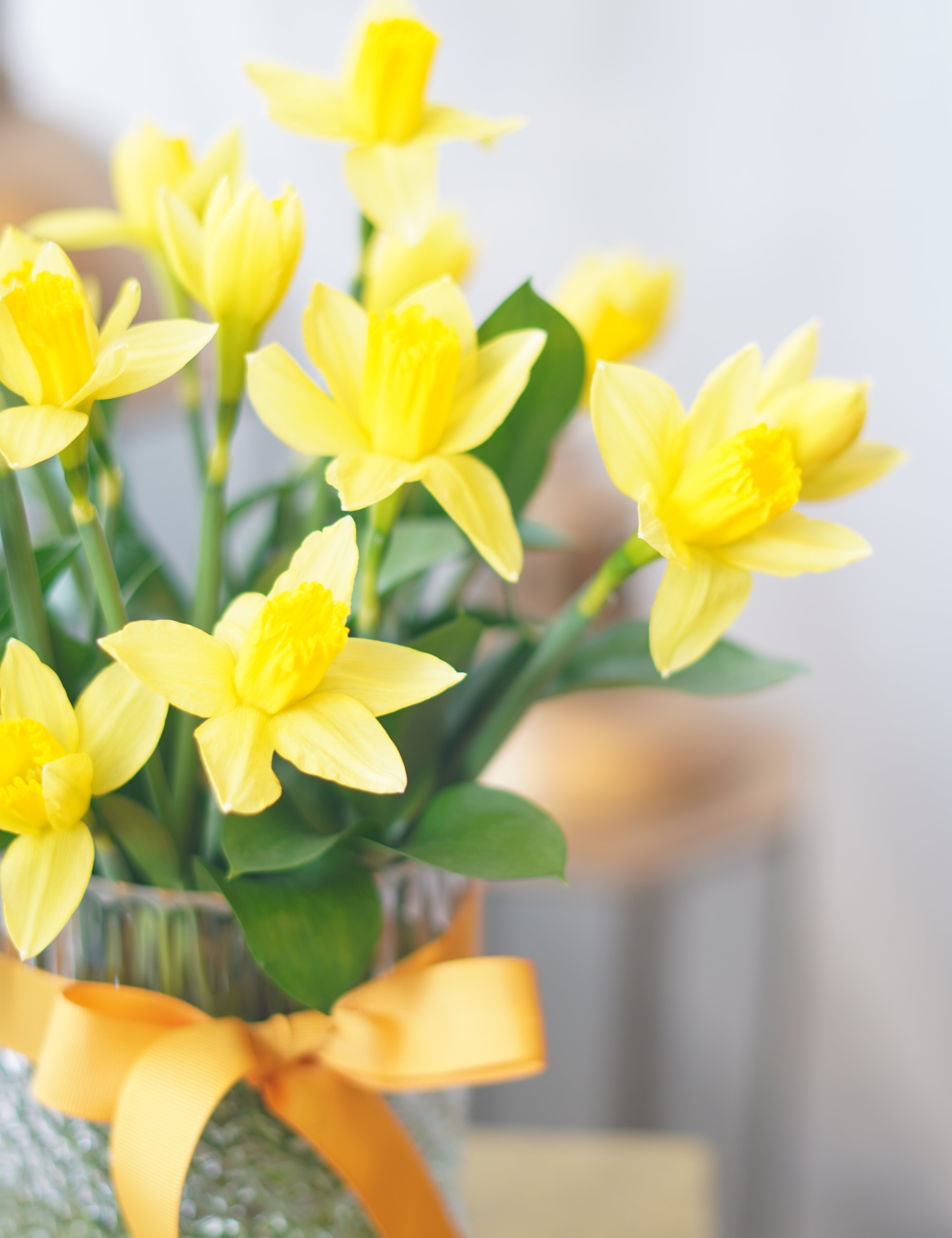 Bright yellow daffodils arranged in textured glass vase with decorative ribbon