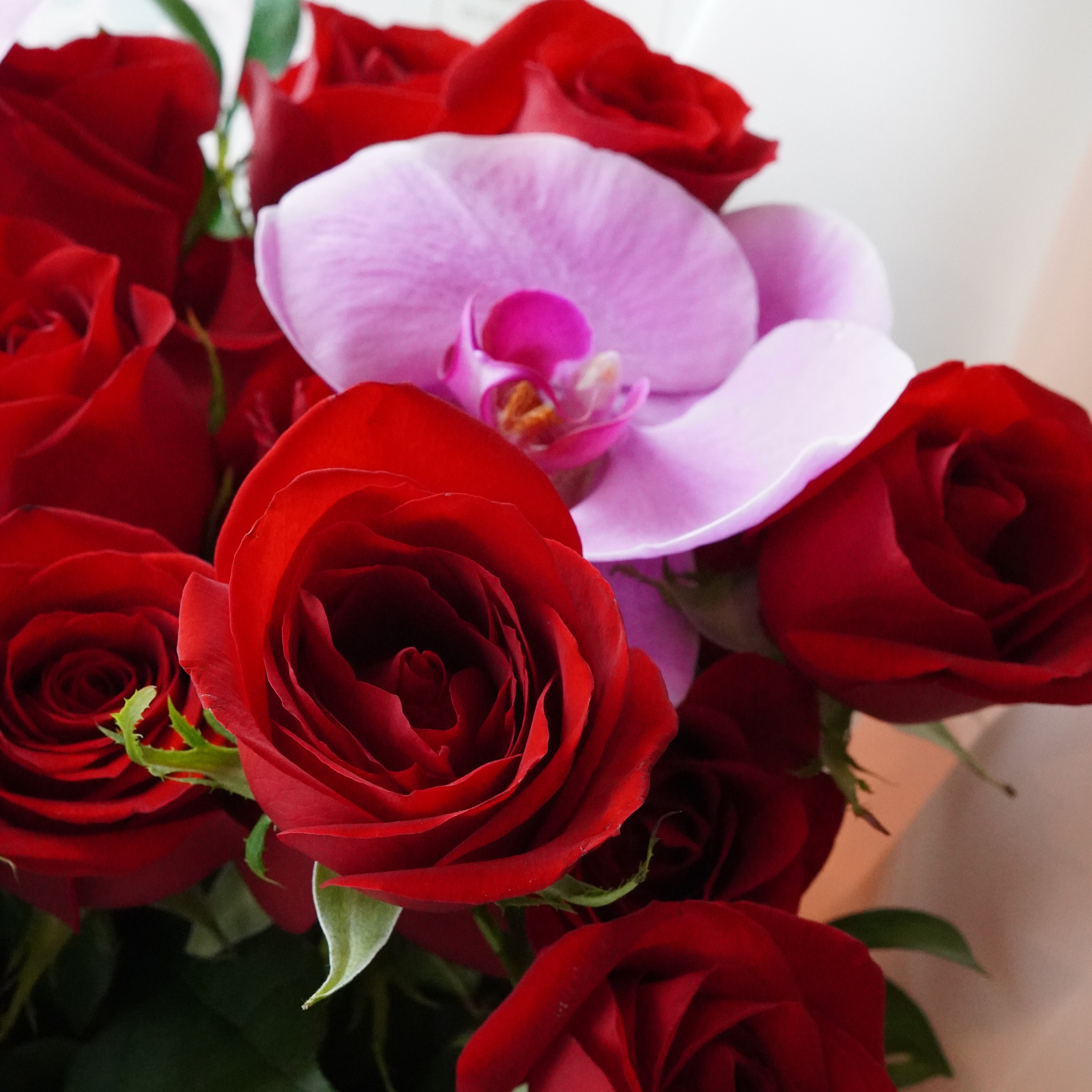 Close-up of a pink orchid accent in a rose bouquet