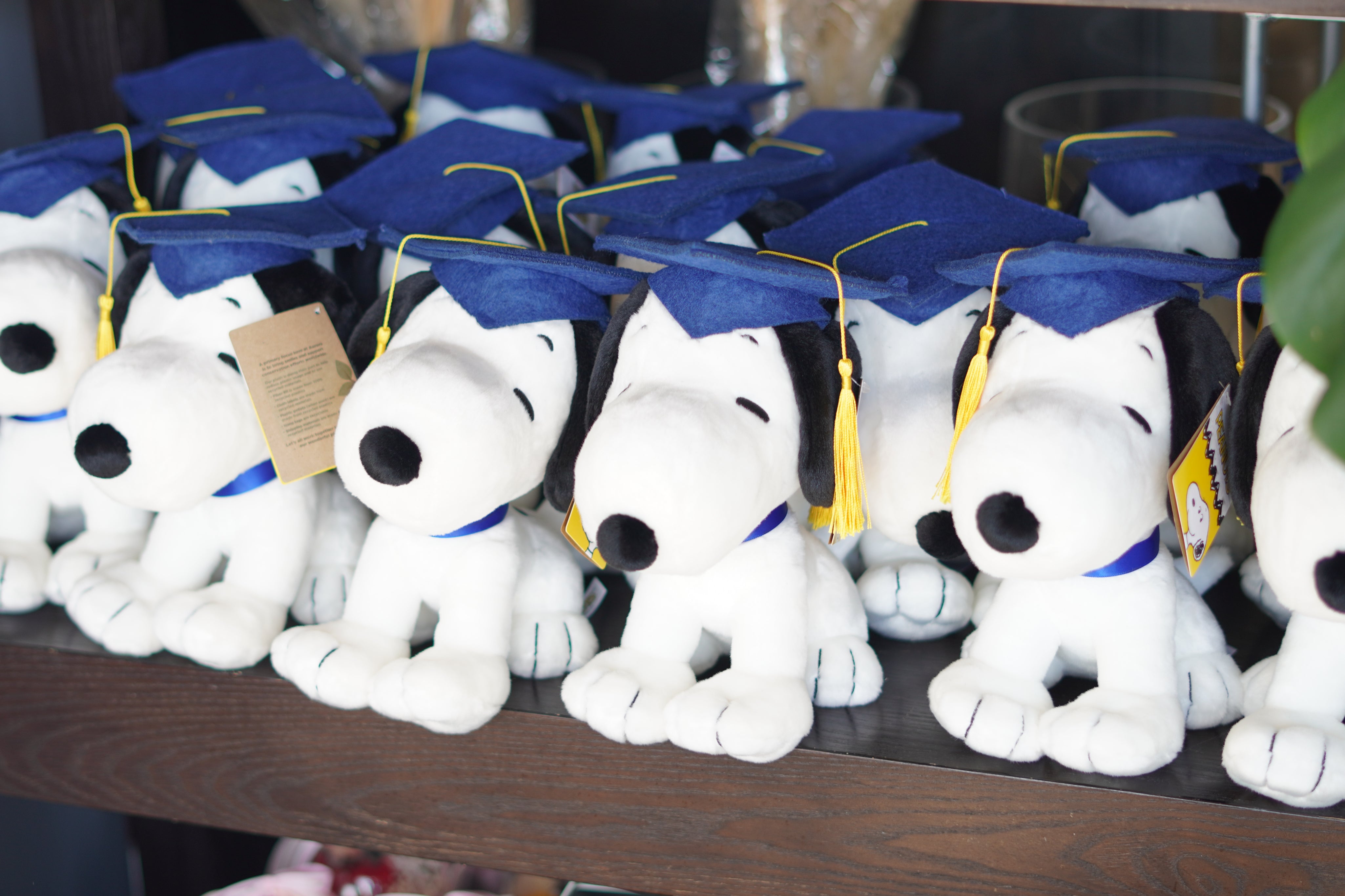 Ebba의 13인치 베이비 세이프 스카이 블루 테디 베어