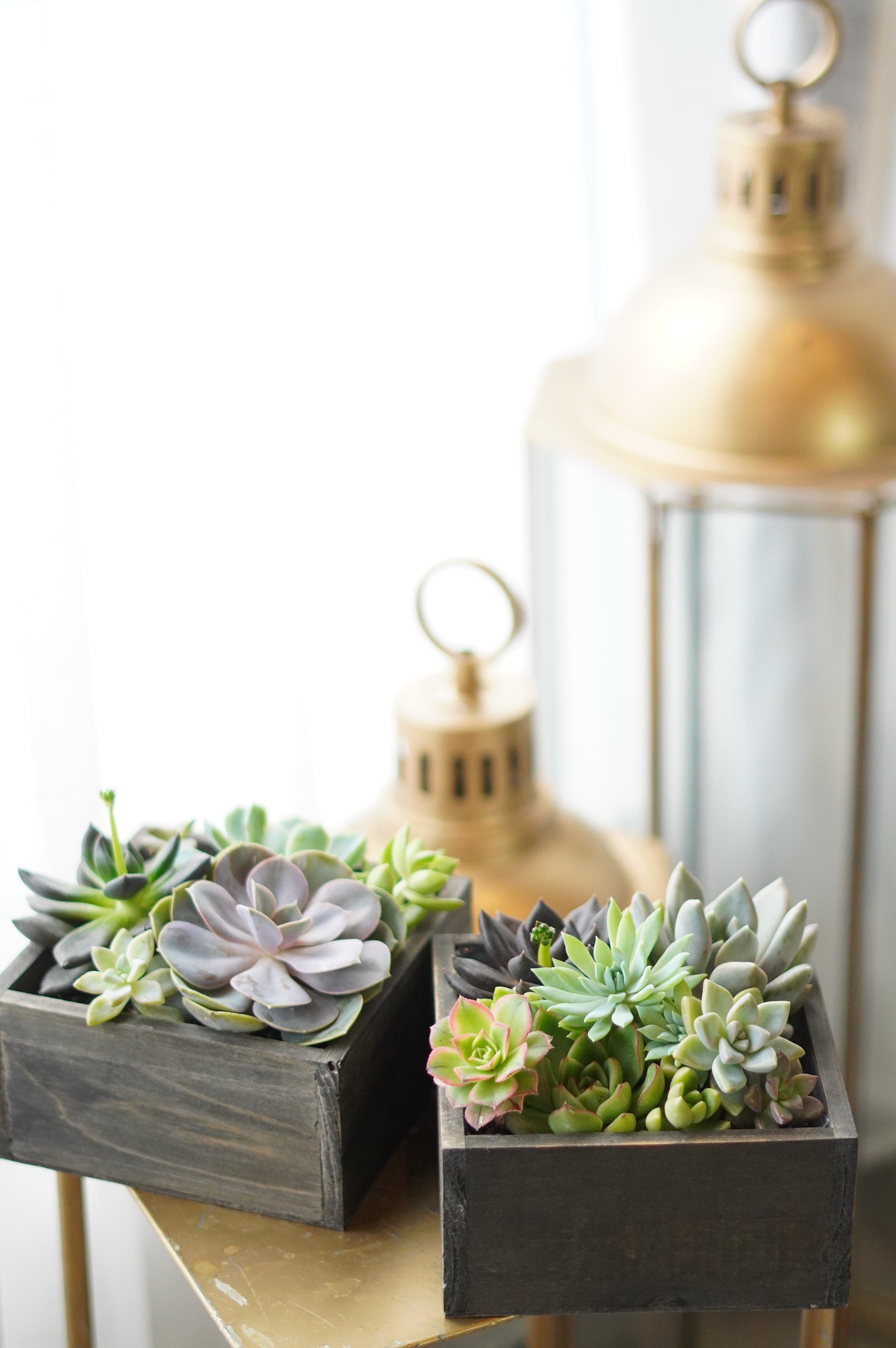 Little Garden Box