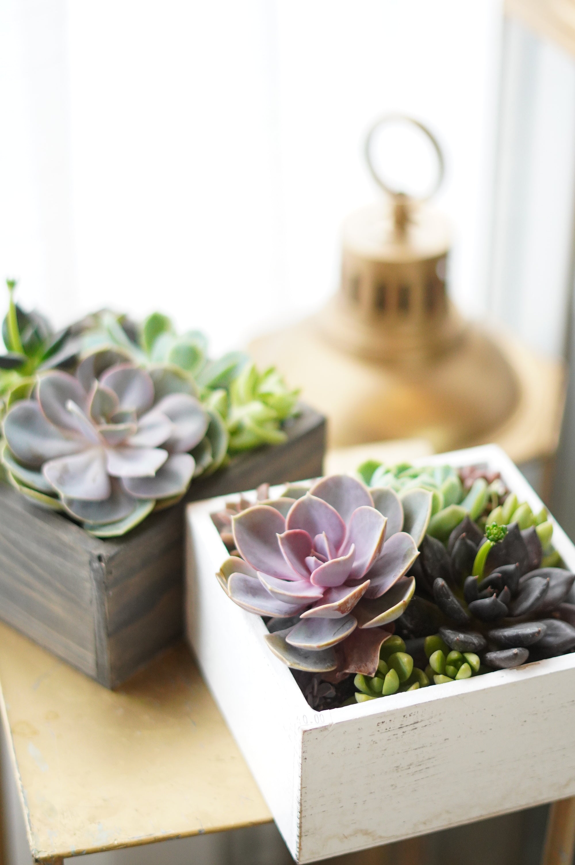 Little Garden Box