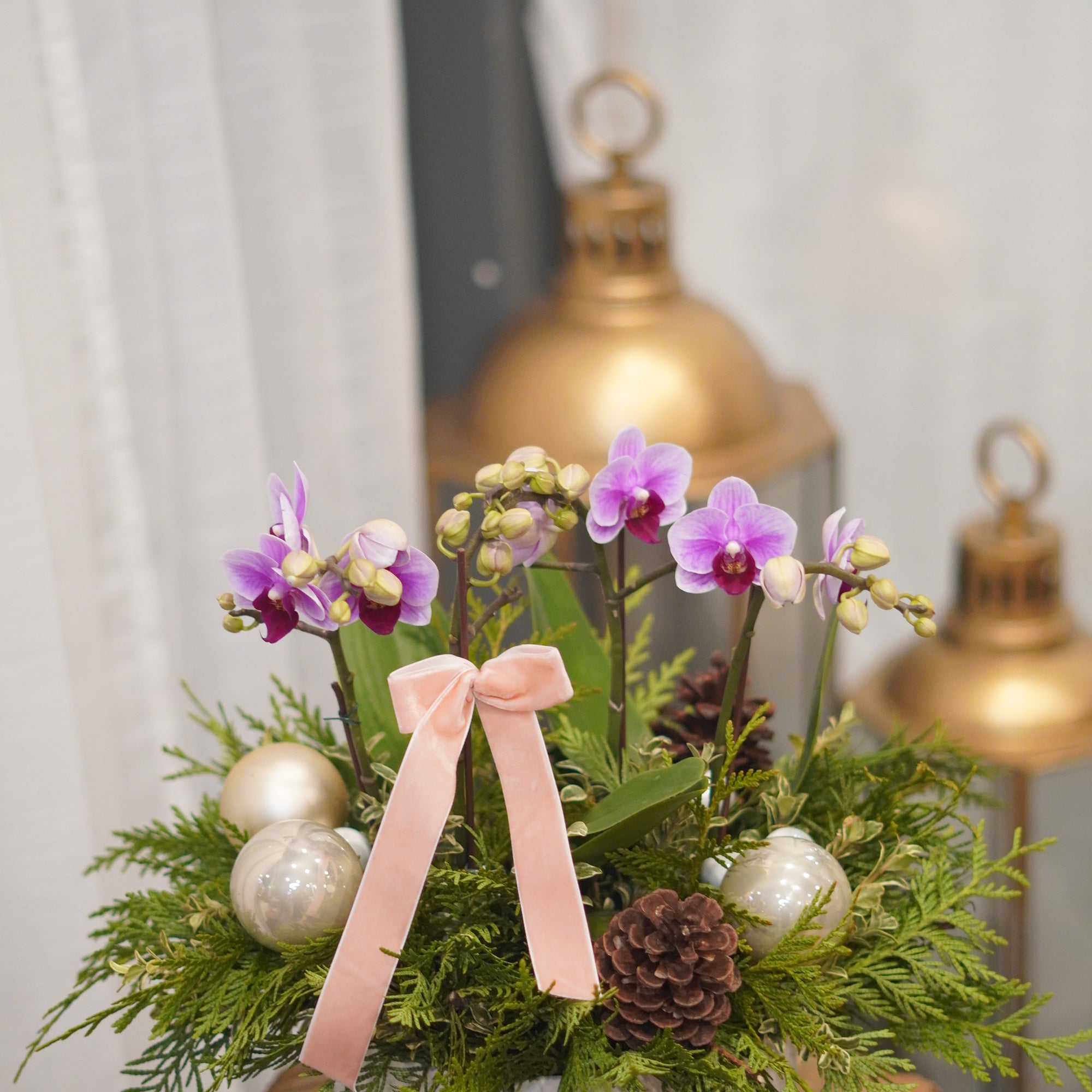 Light pink mini orchid holiday arrangement with pine cones and ornament balls — Moon's Flowers GTA