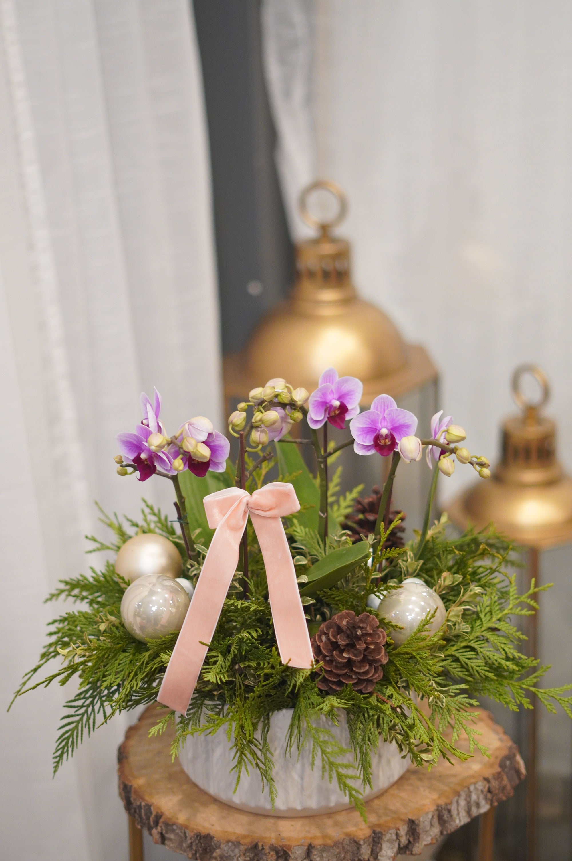 Holiday Orchids