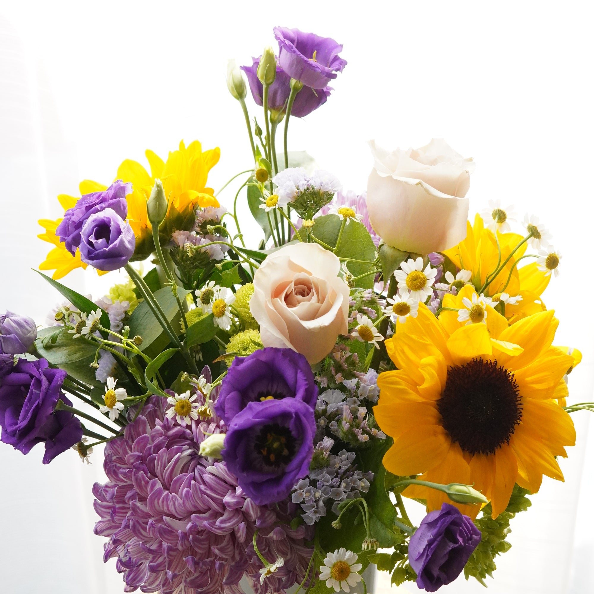 DSC05407.jpg