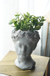 Jade plant in statue vase